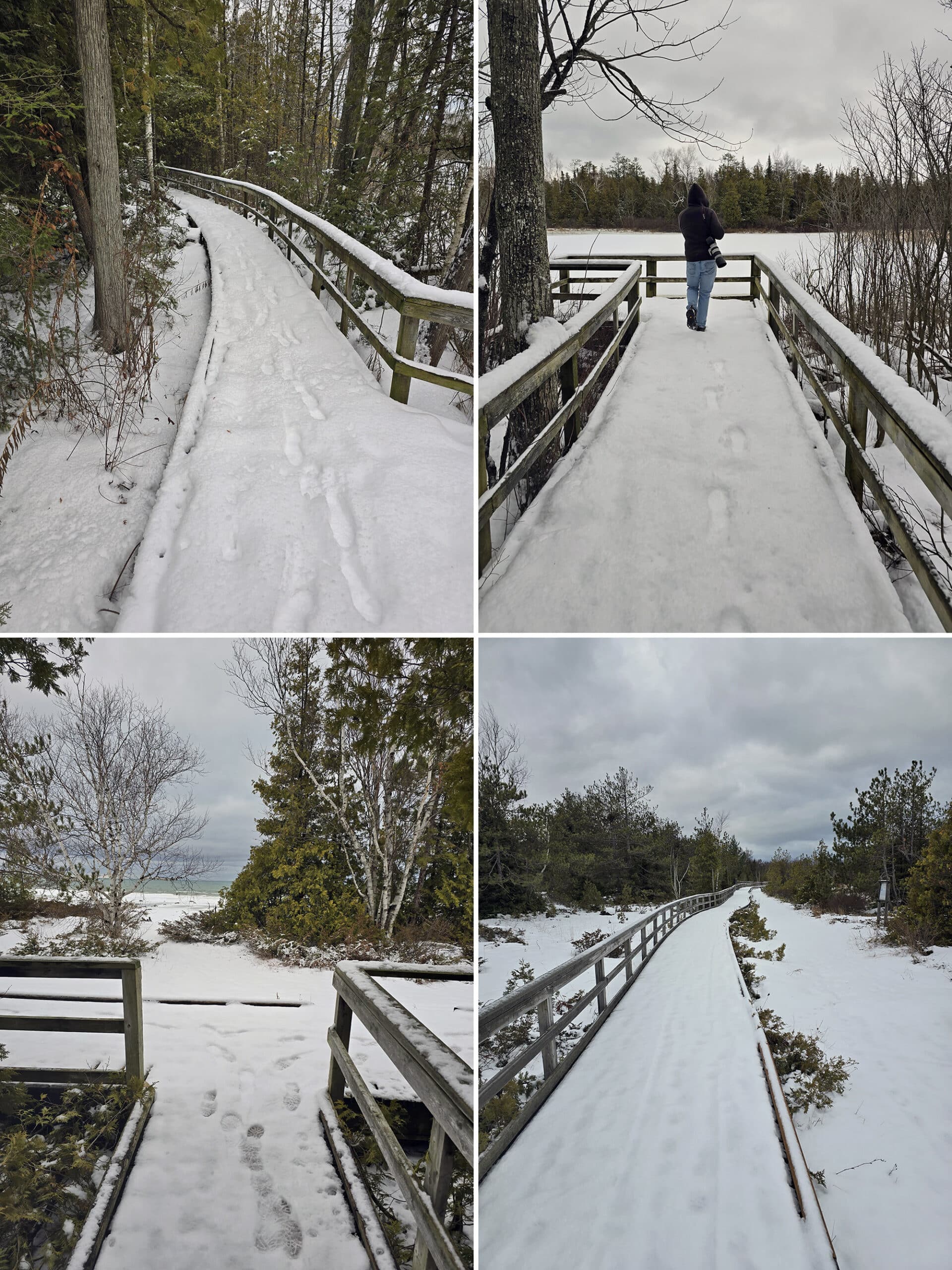 4 part image showing various views along the Lake Ridge Trail at MacGregor Point Provincial Park.