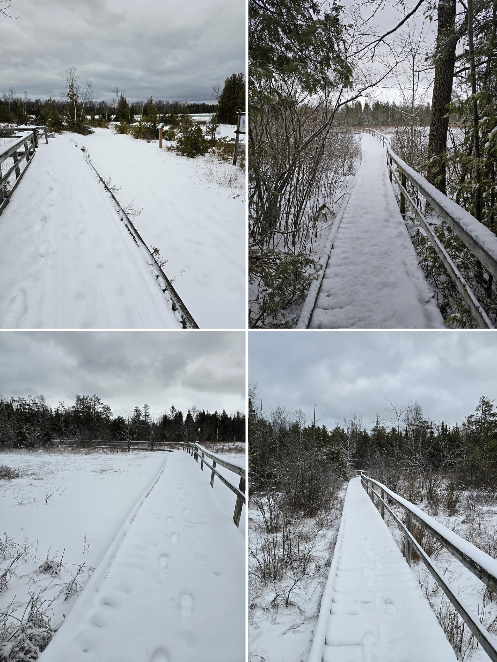 4 part image showing various views along the Lake Ridge Trail at MacGregor Point Provincial Park.