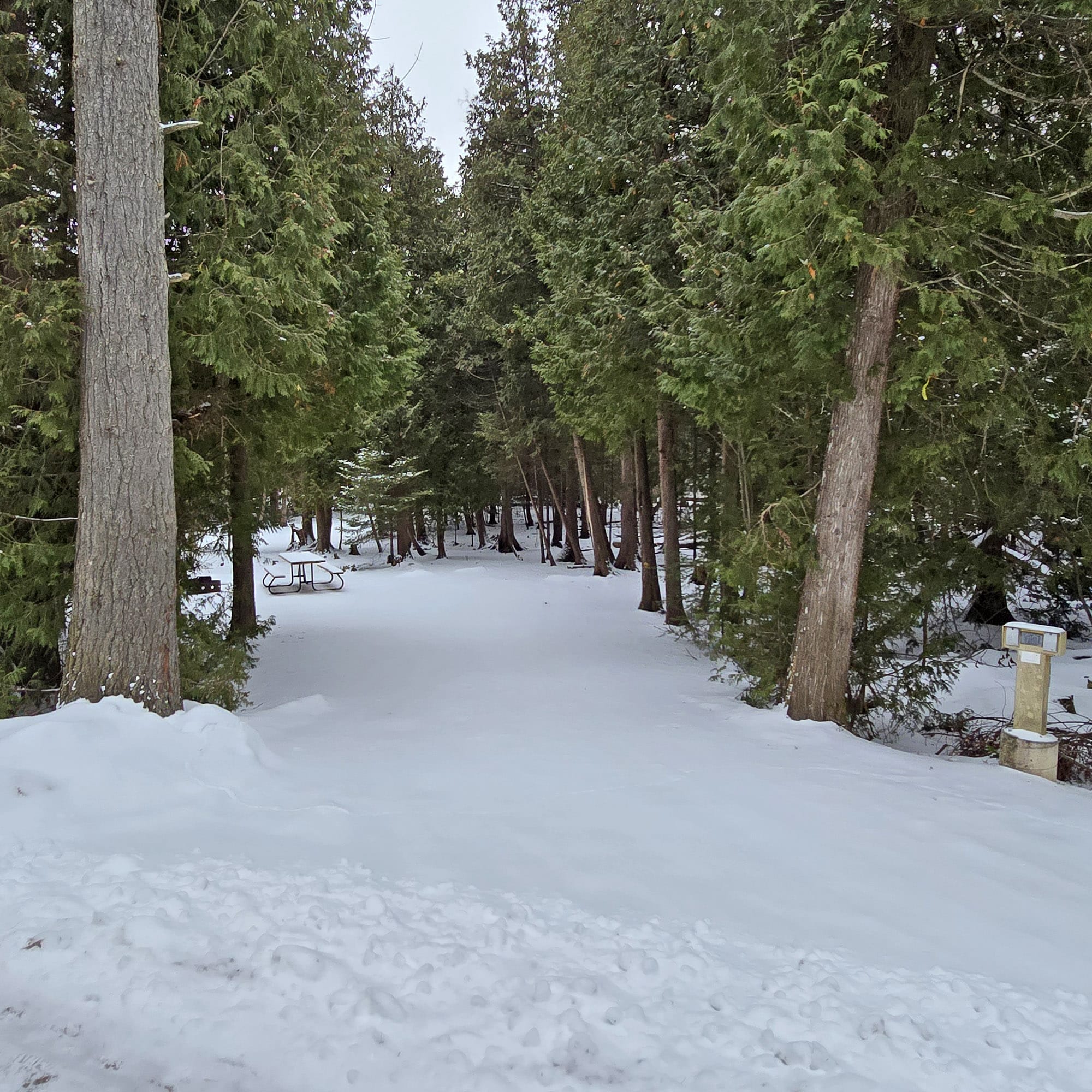 A snowy campsite at MacGregor Point Provincial Park