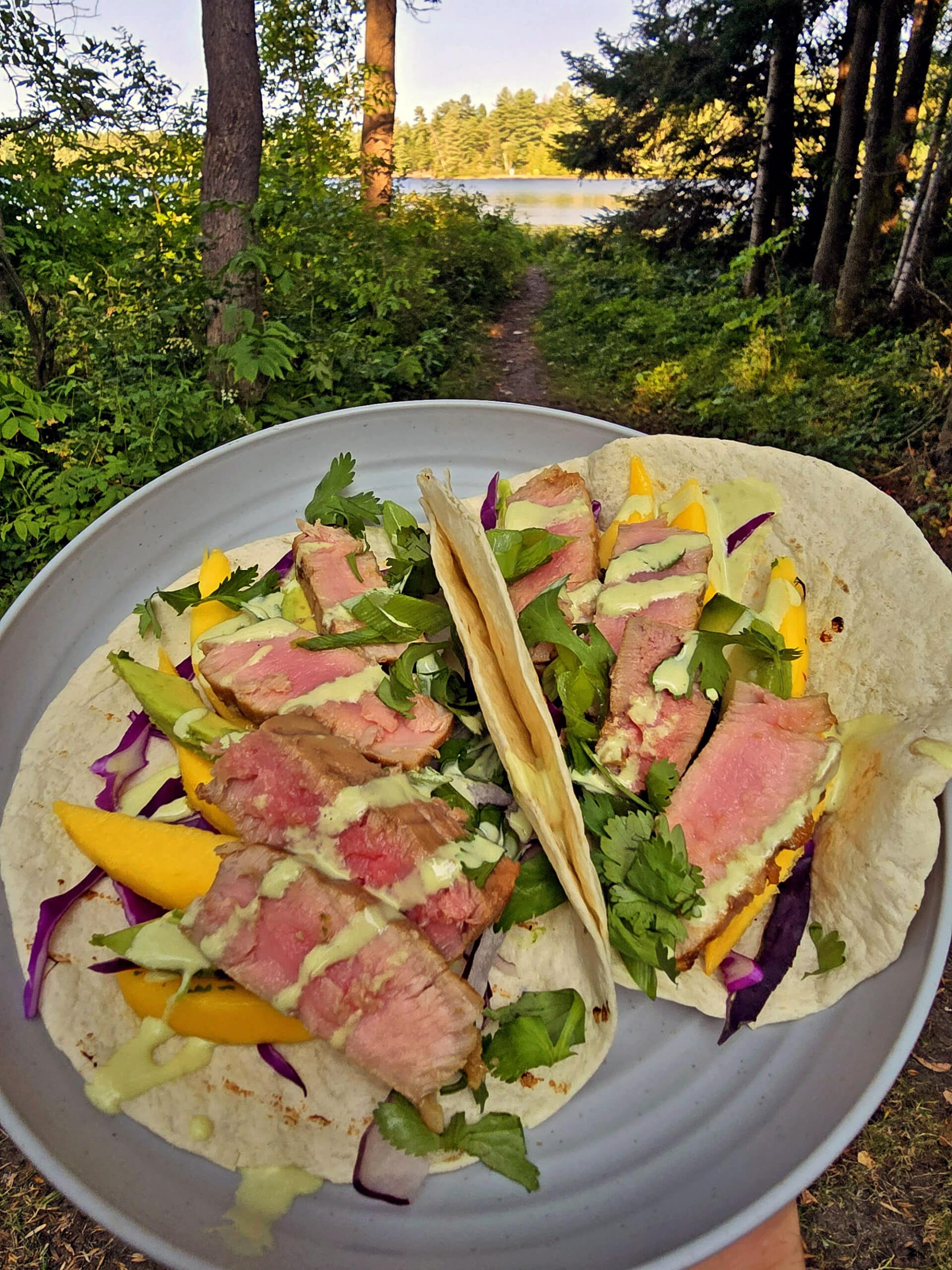 2 tacos with grilled tuna, mango slices, avocado, red cabbage, cilantro, and wasabi mayo on a plate.