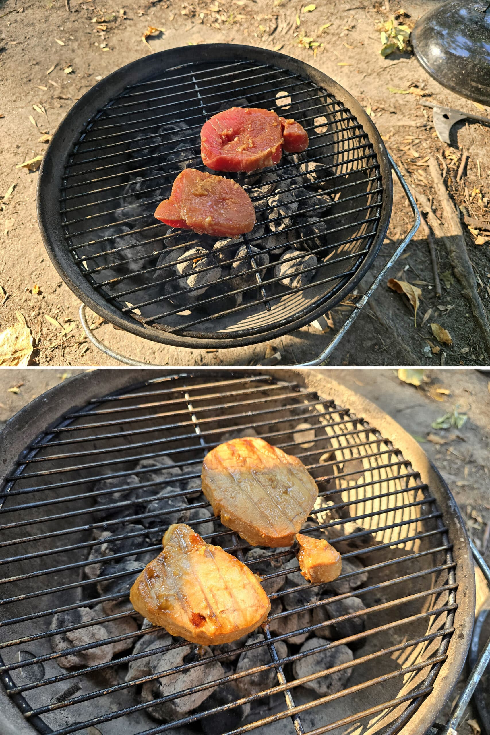 2 part image showing 2 marinated tuna steaks grilling over a campfire.