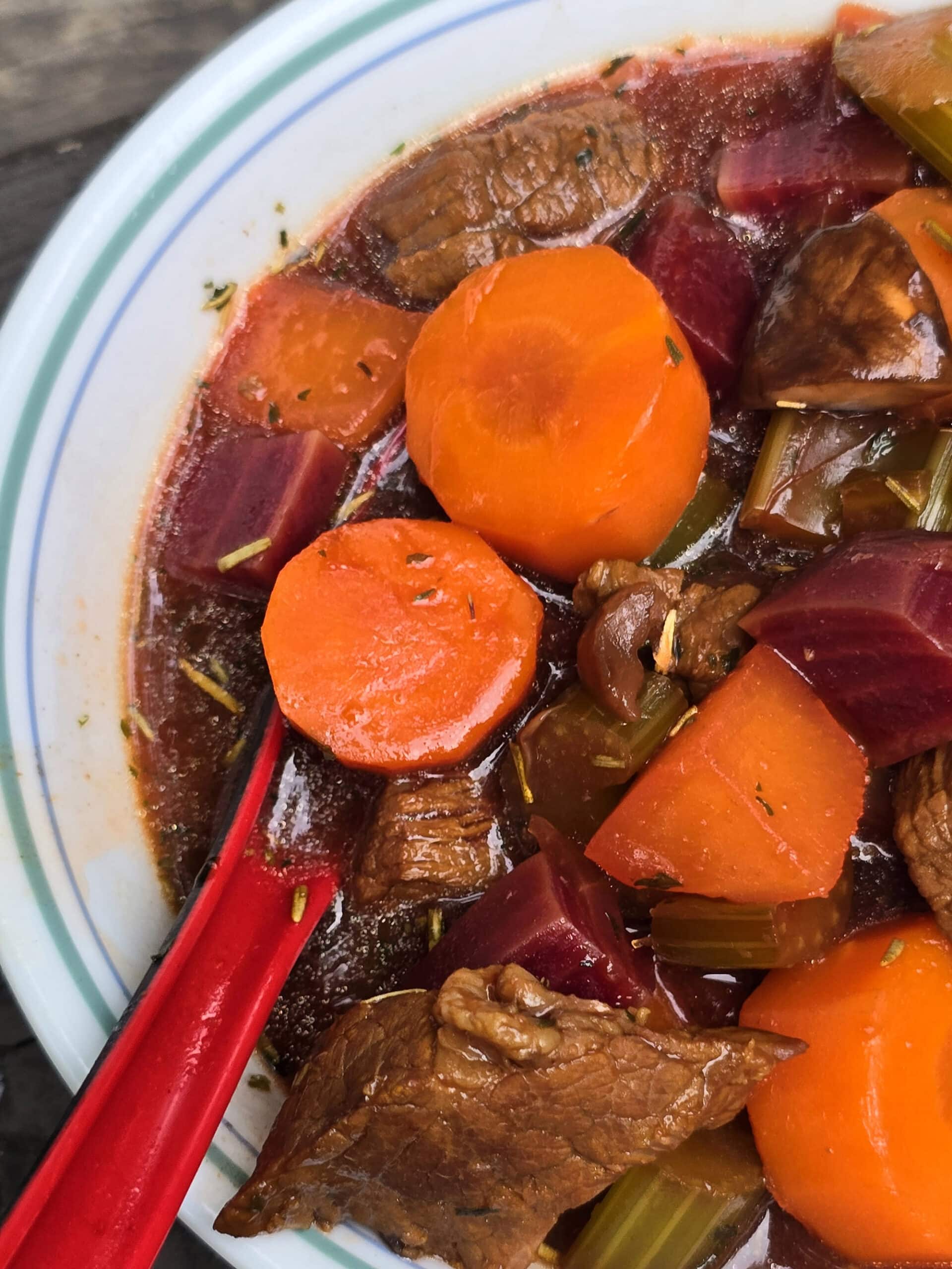 A bowl of beef and root veggie stew on a picnic table.