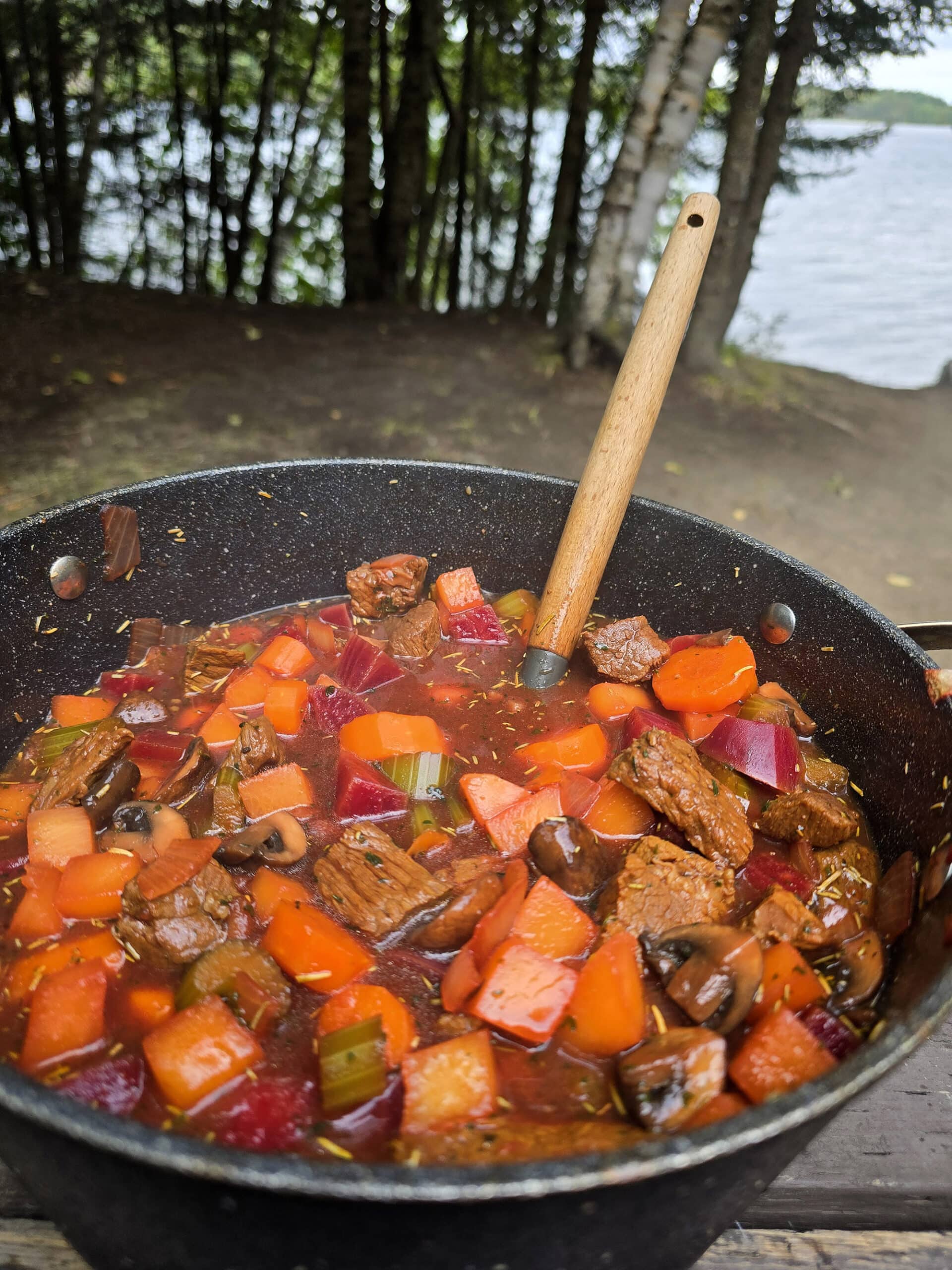 A pot of beef and root vegetable stew on a picnic table.