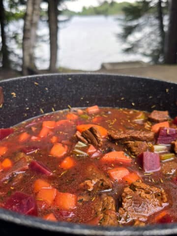 A pot of beef and root veggie stew on a picnic table.