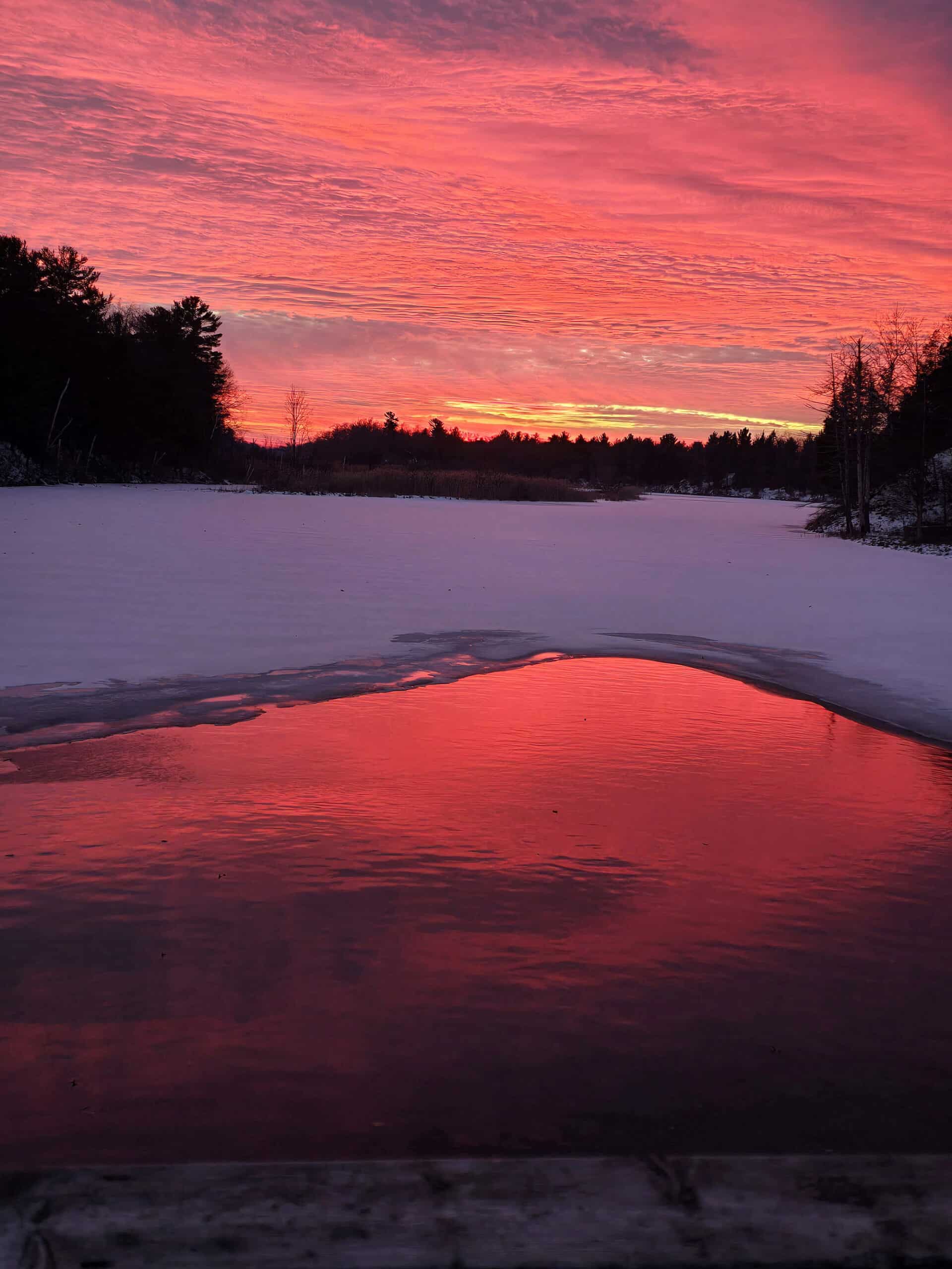 A pink sunset over half frozen old ausable channel in pinery provincial park.