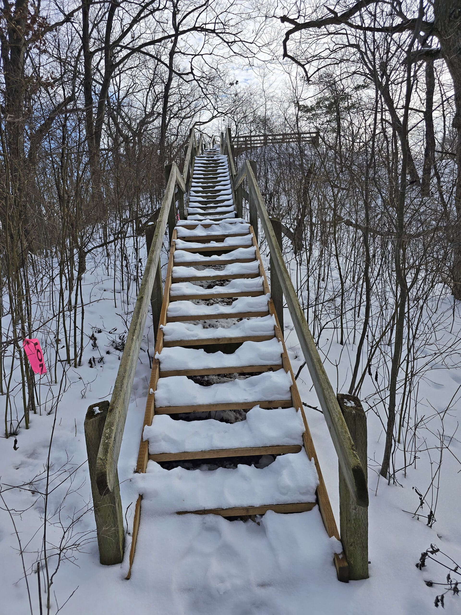 A snow covered set of stairs on a trail.