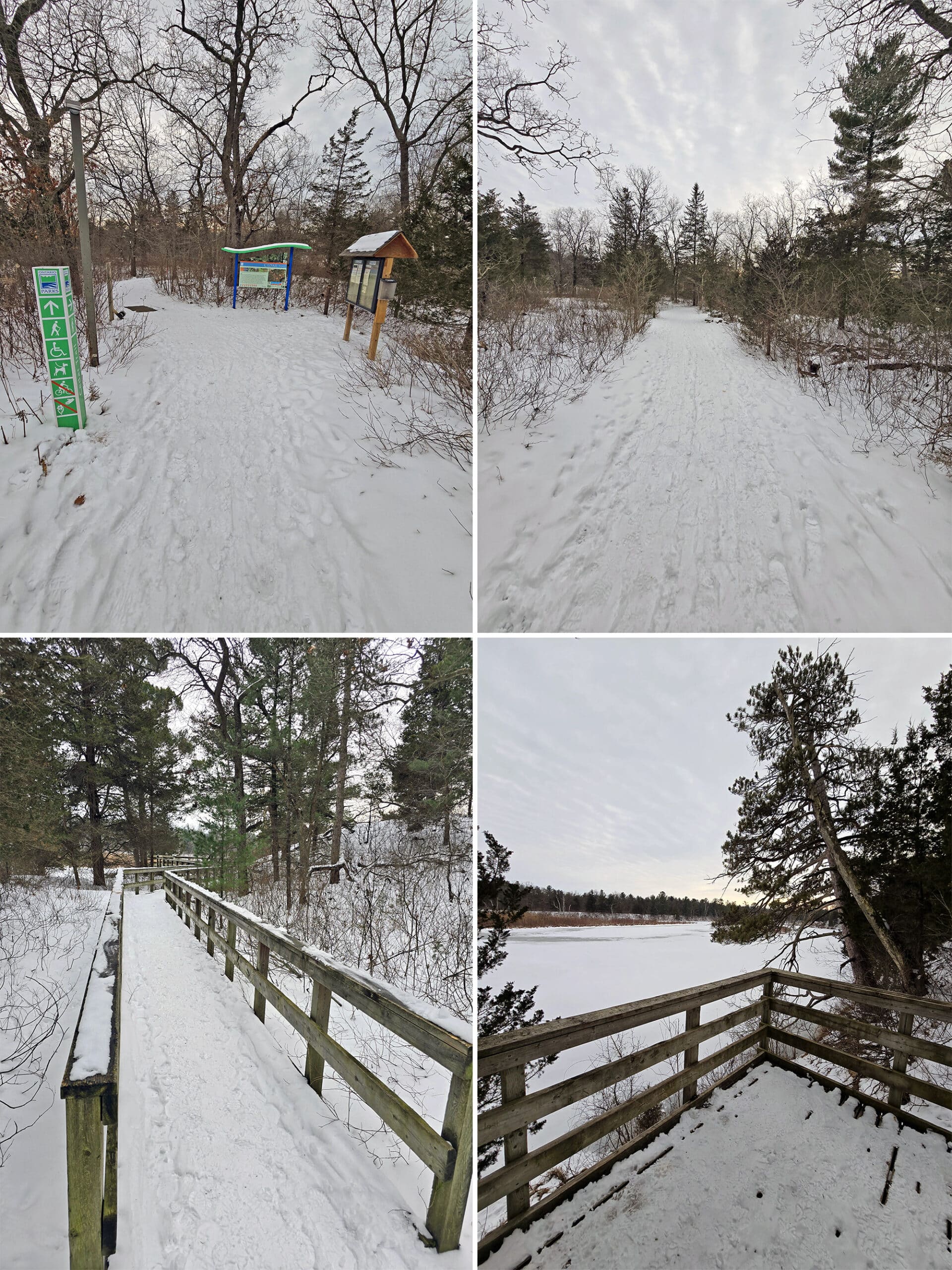 4 part image showing various views of the cedar trail in pinery provincial park.