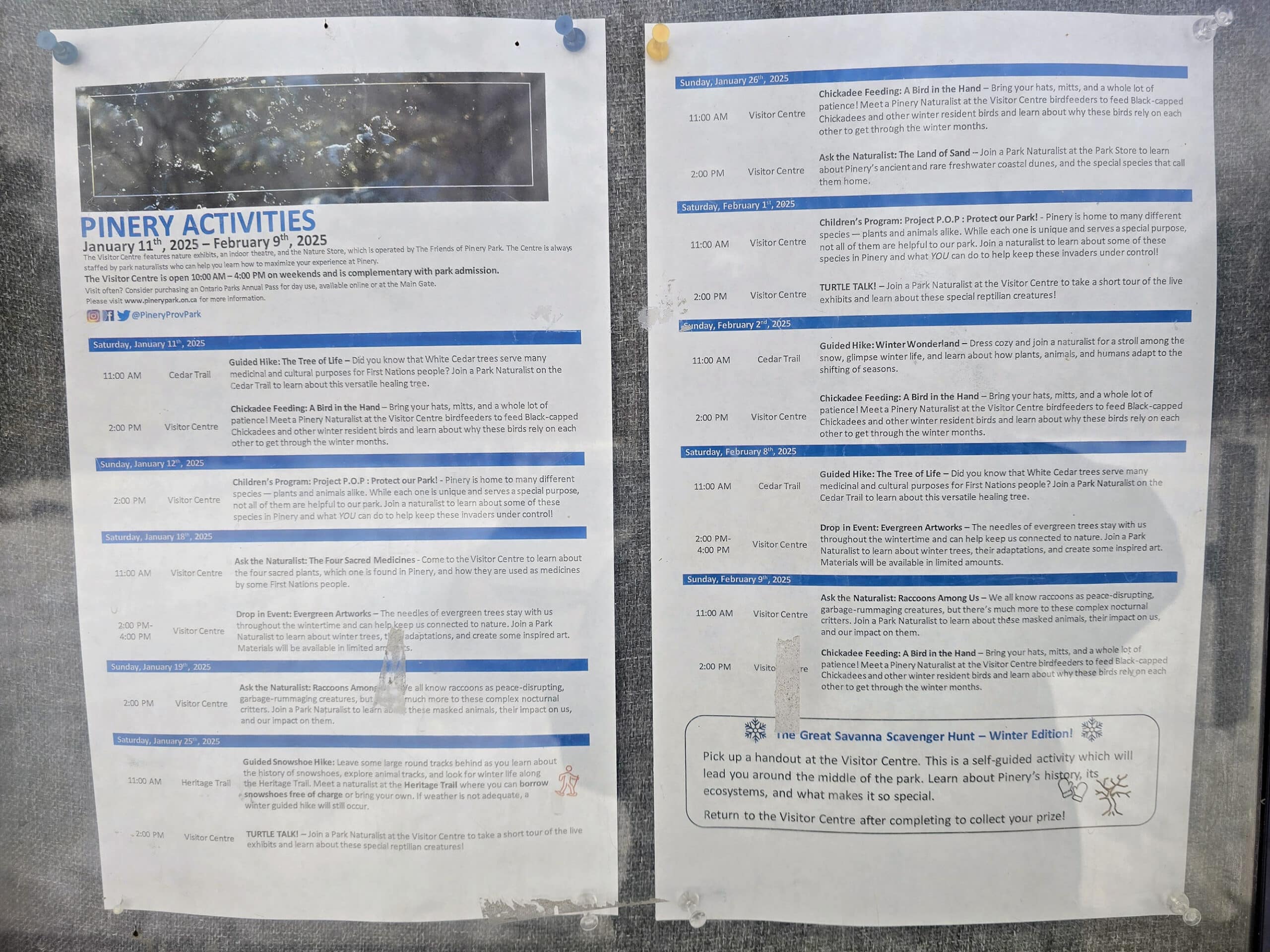 2 calendar of events sheets for the pinery discovery program, posted in a window.