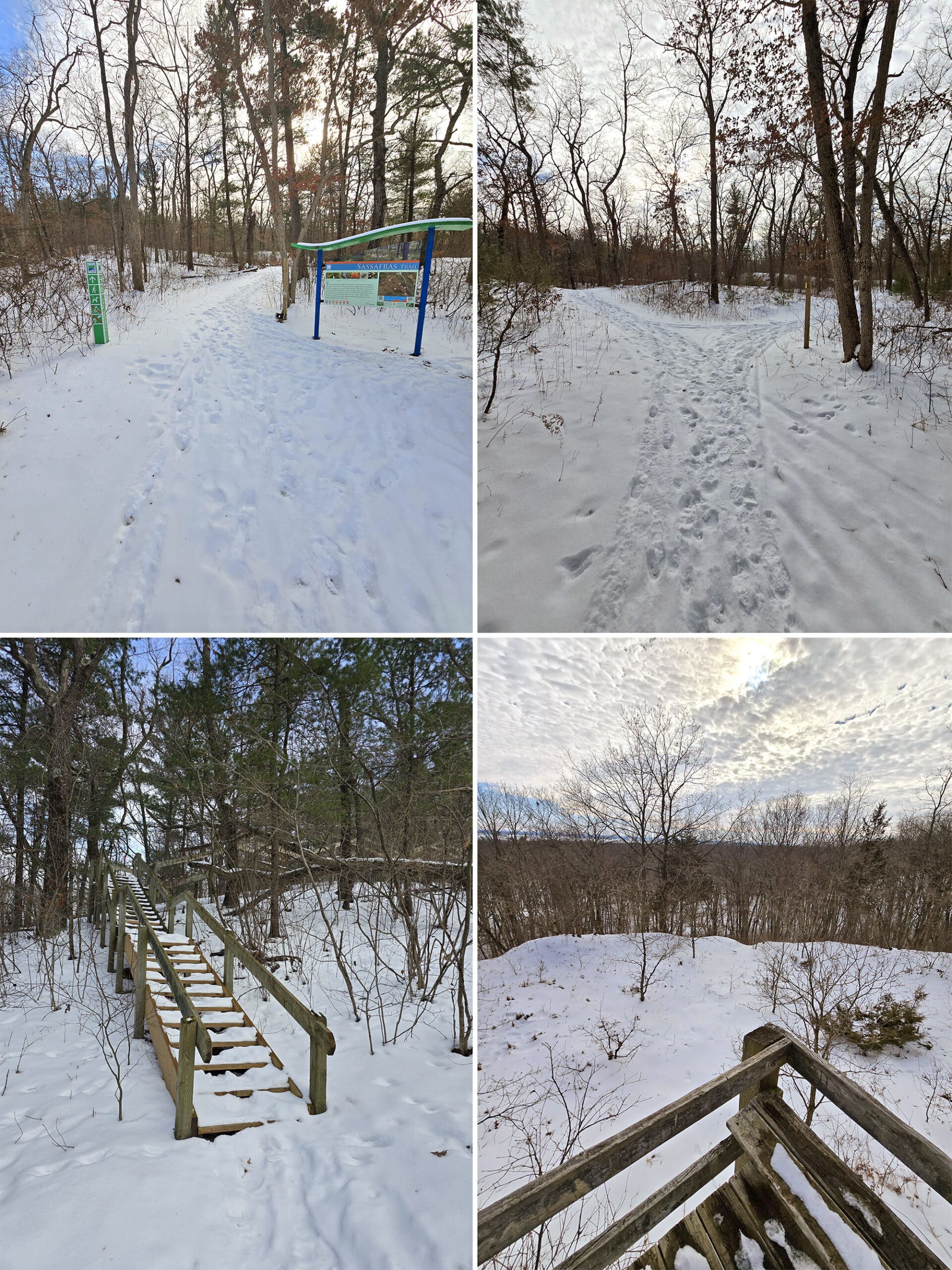 4 part image showing various views of the sassafrass hiking trail in pinery provincial park.