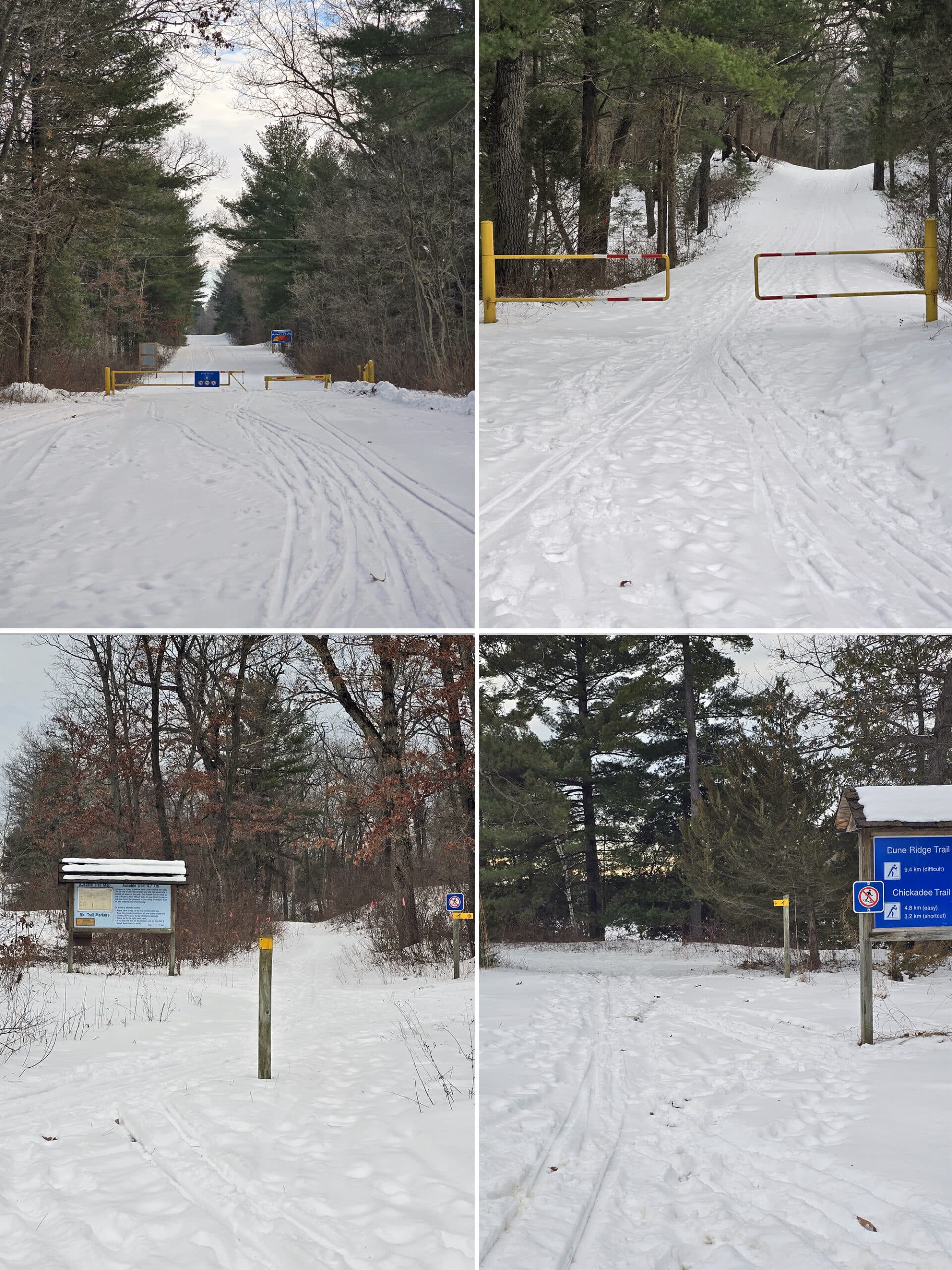 4 part image showing various cross country ski trails in pinery provincial park.