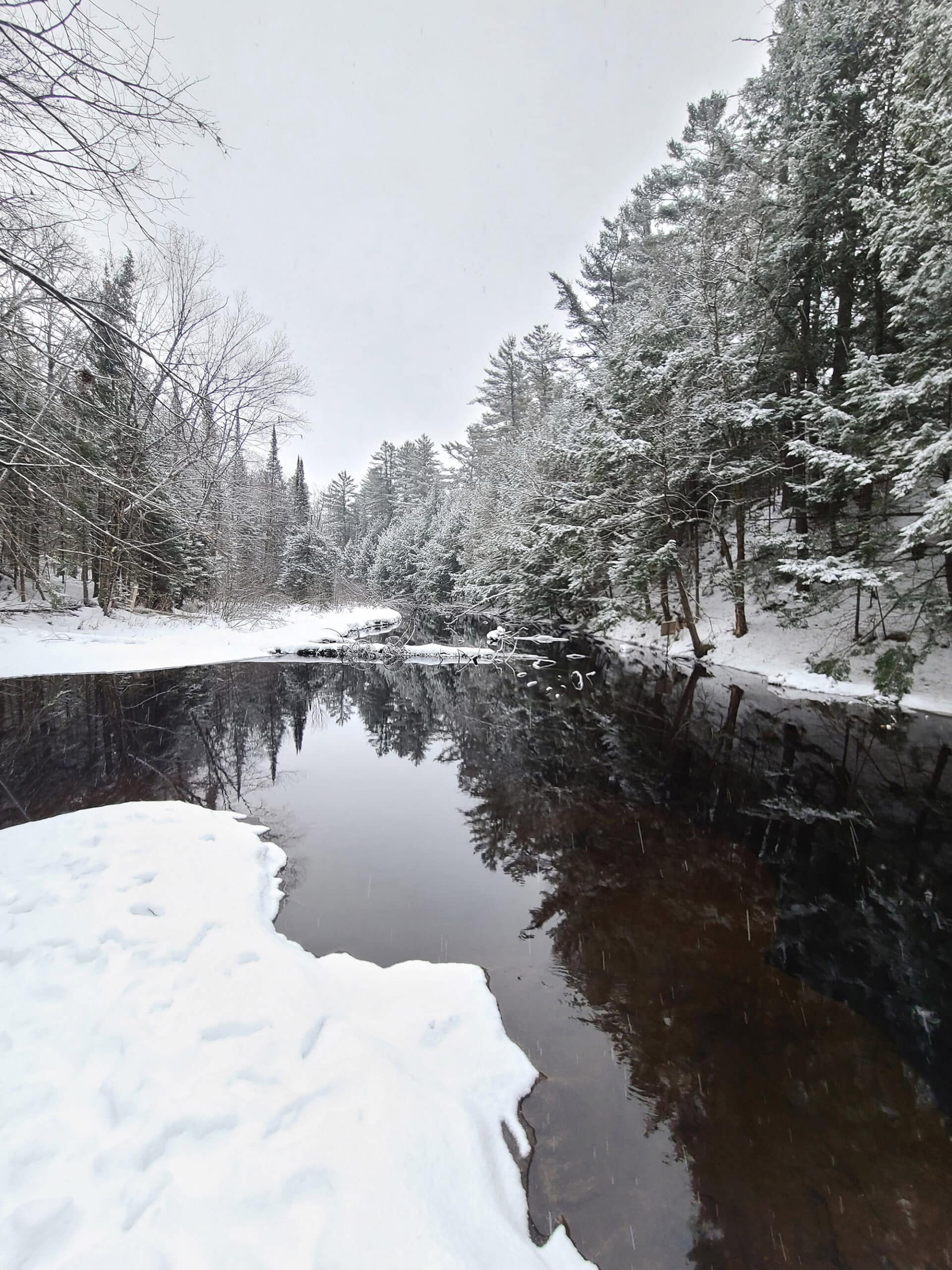 A flat, black body of water in the winter woods, with snow covered trees reflecting on the surface.