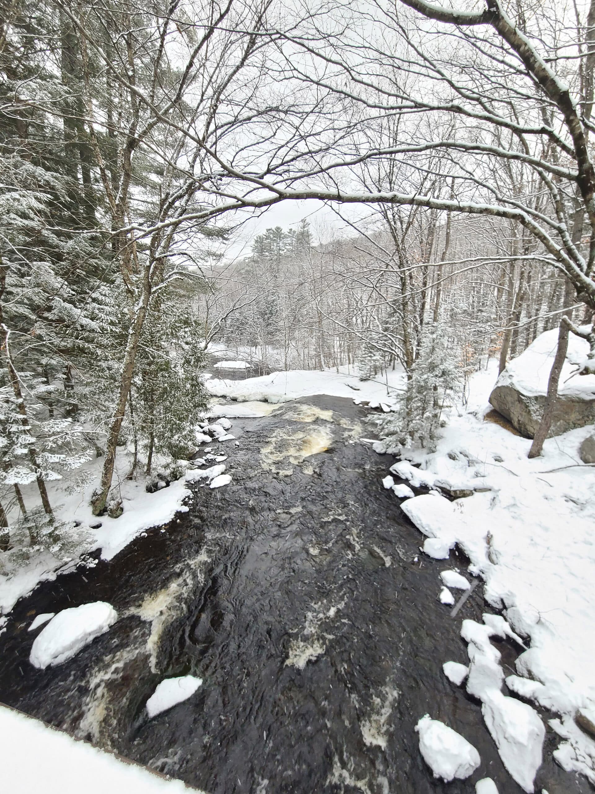 A river through the arrowhead provincial park woods in winter.