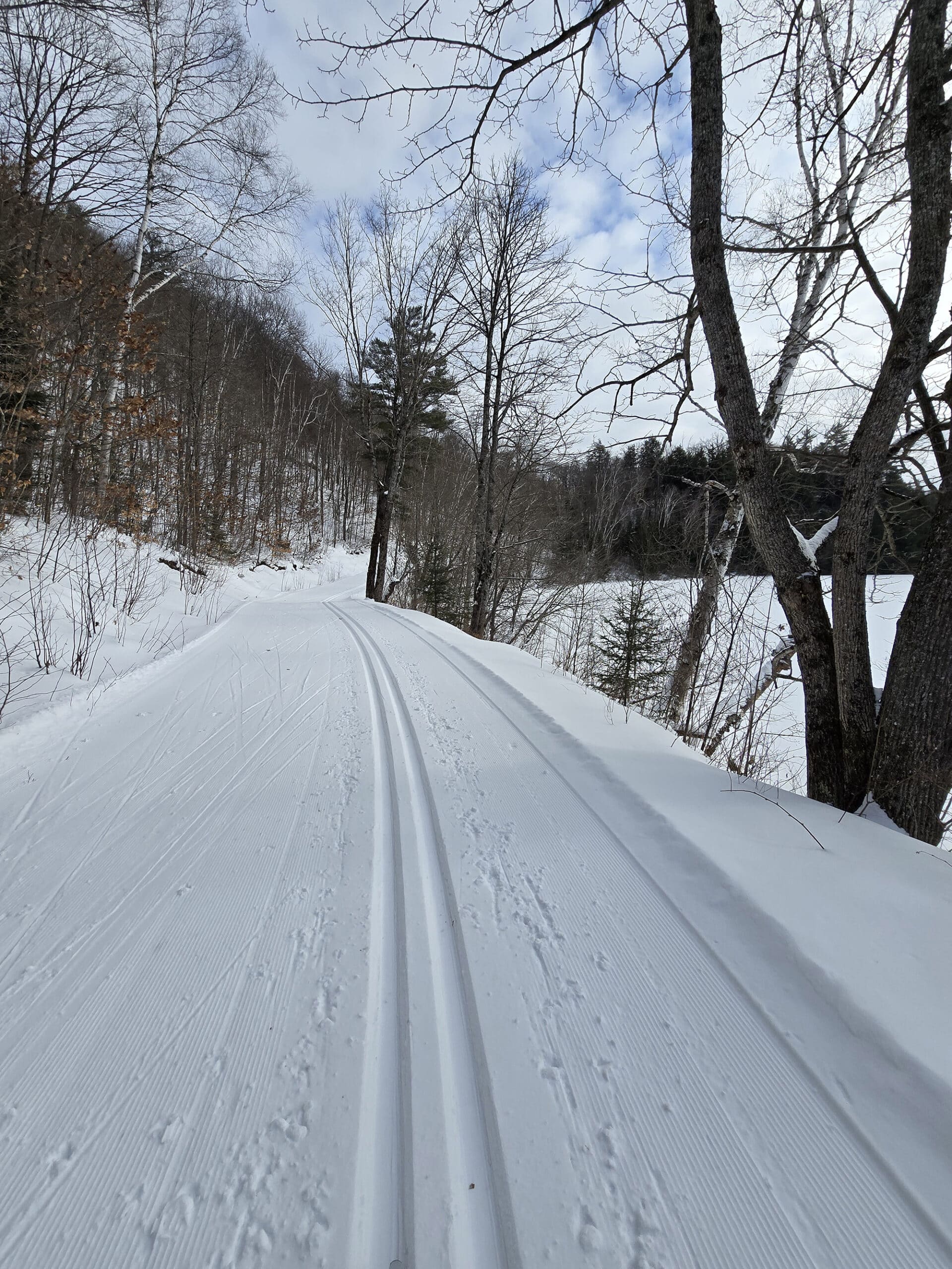 TRack set ski trails going alongside at lake at arrowhead provincial park.