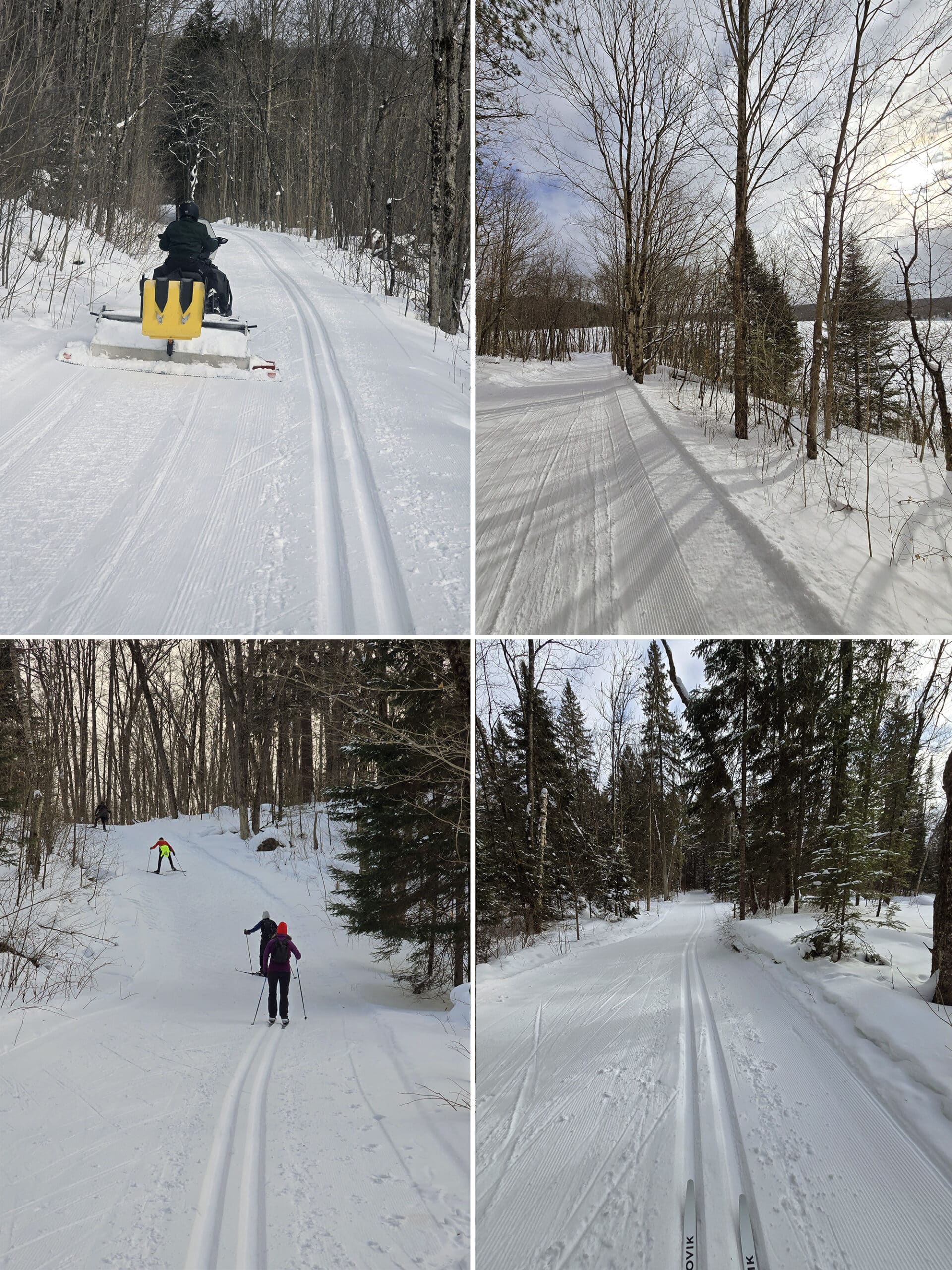 4 part image showing various views along the arrowhead lake ski trail at arrowhead provincial park.