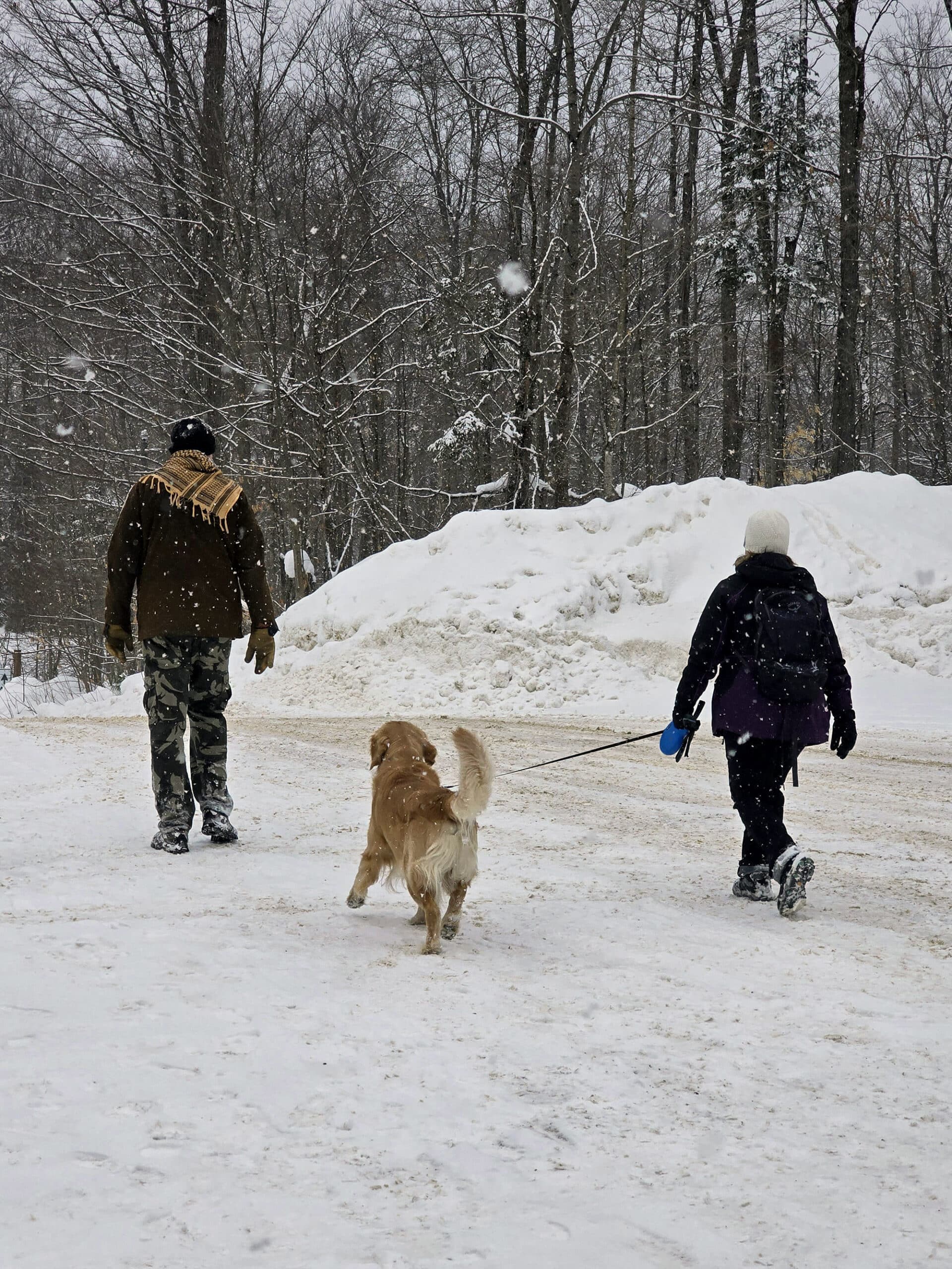 2 part walking a happy dog on a winter trail at arrowhead provincial park.