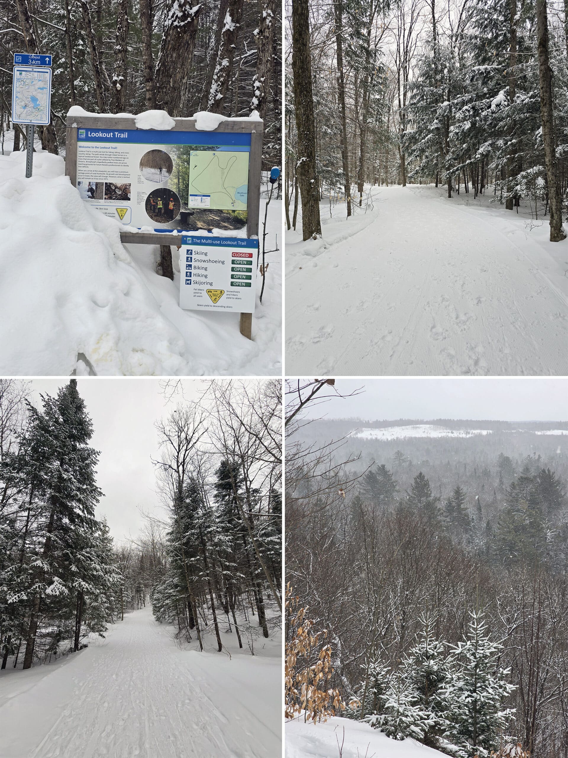 4 part image showing various views along the Lookout classic trail at arrowhead provincial park.