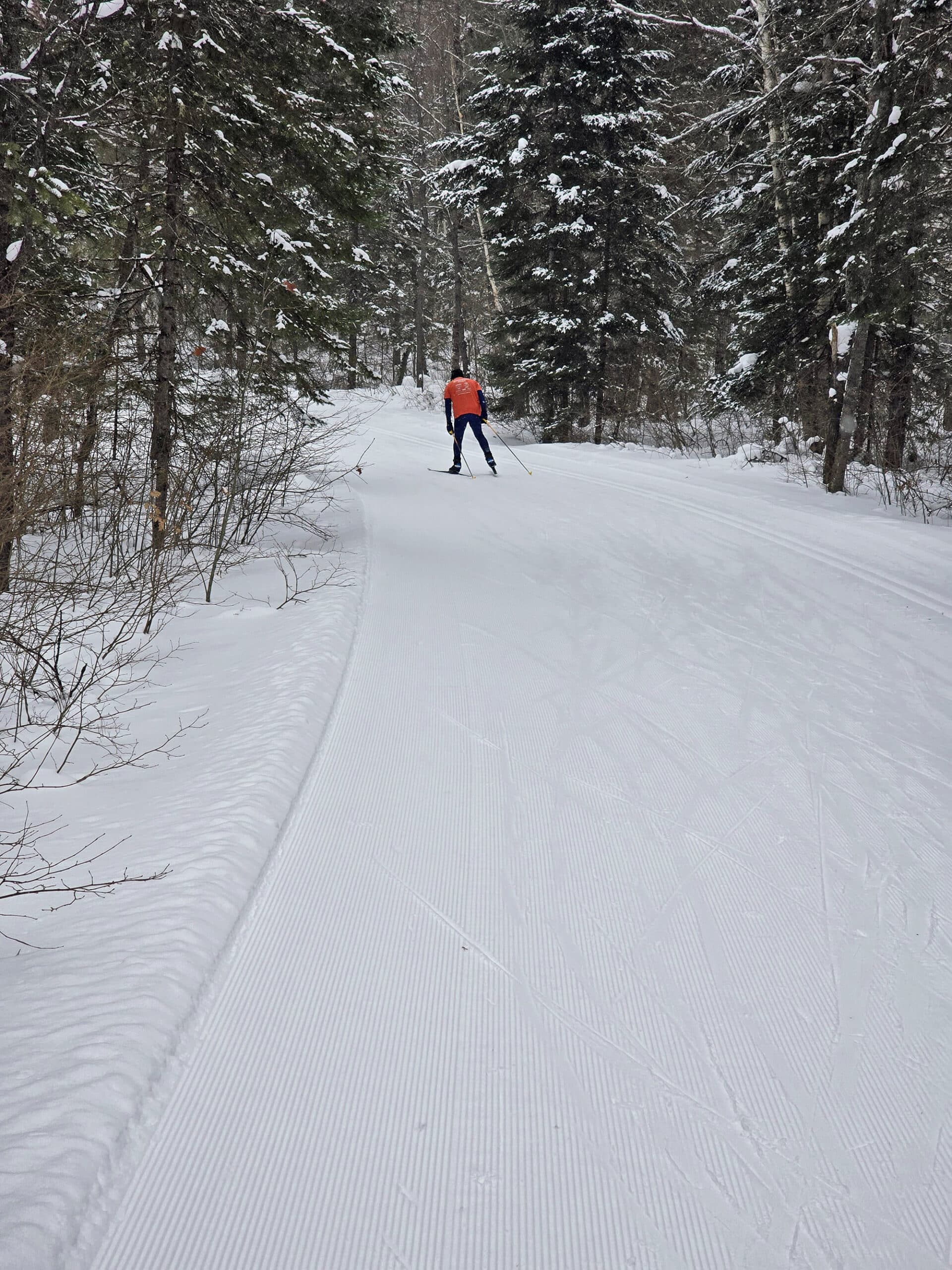 A skate skier on arrowhead provincial park's roe ski trail.