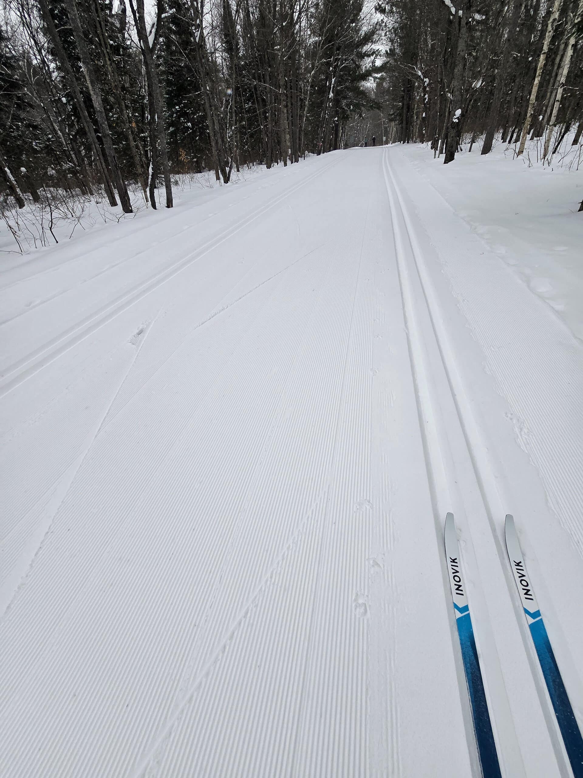 A pair of classic cross country skis on a track set ski trail at arrowhead provincial park.