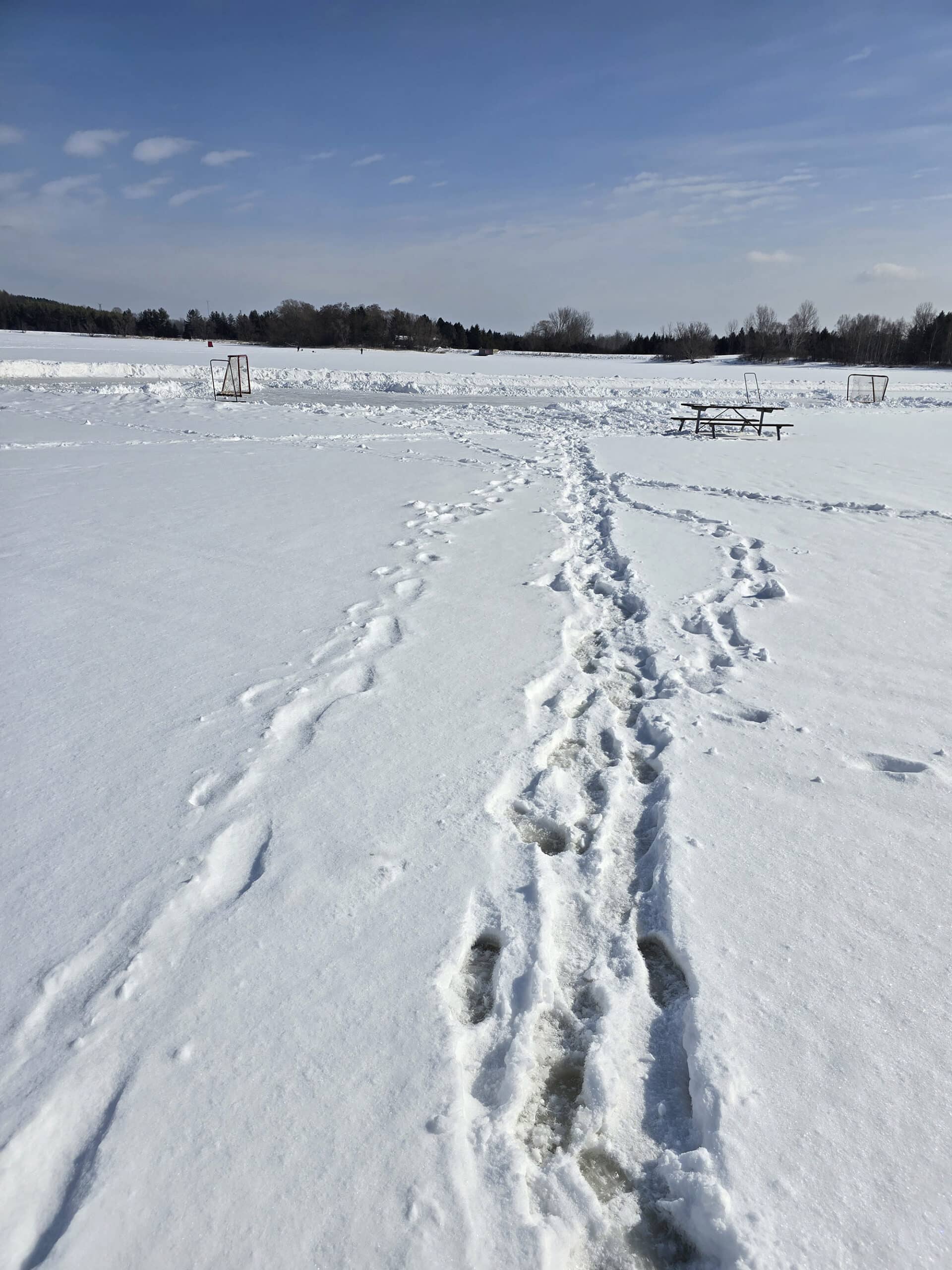 A path through snow, leading to a skating rink that was cleared on valens lake.