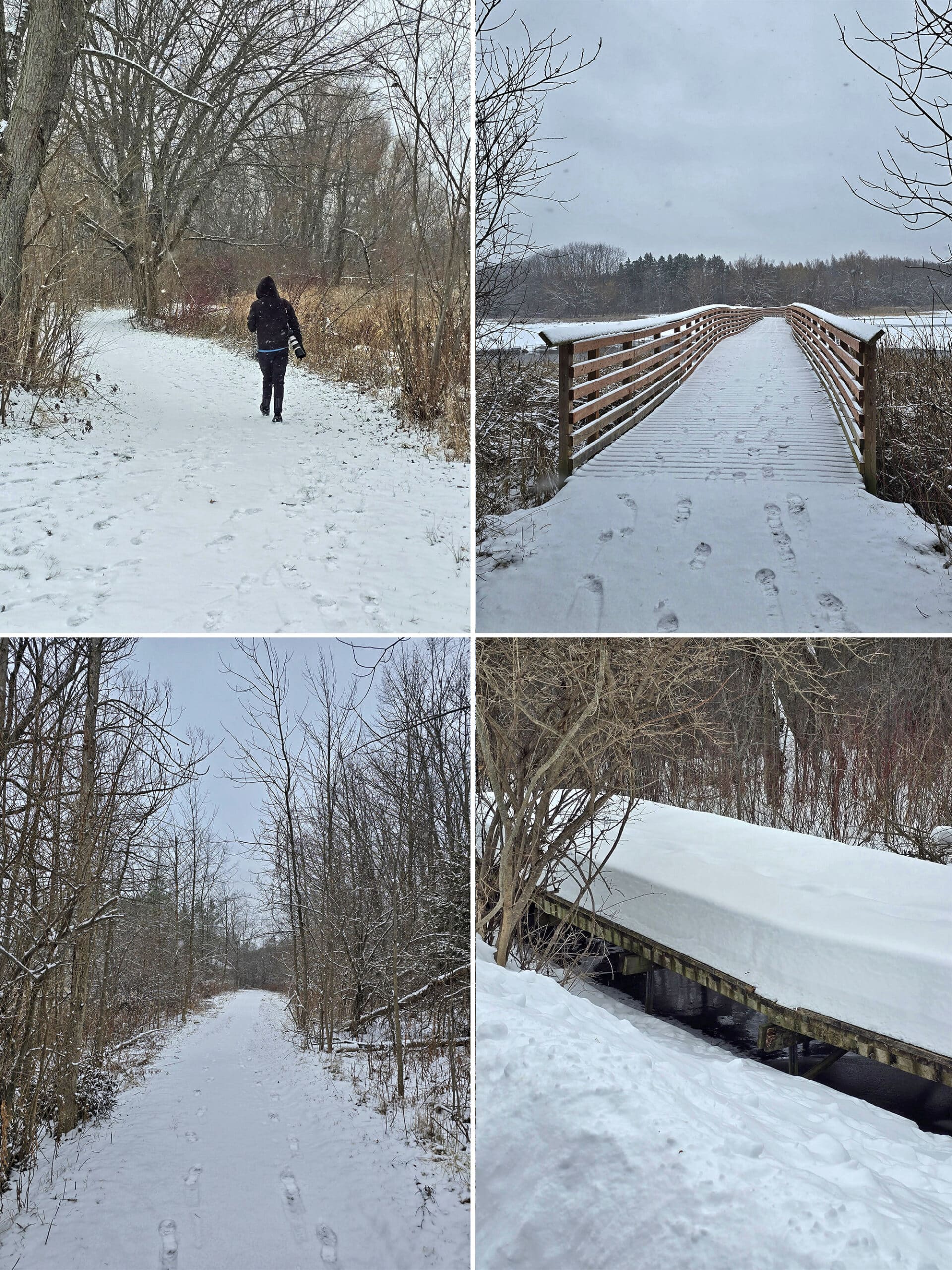 4 part image showing various views along one of Valens lake conservation area's hiking trails.