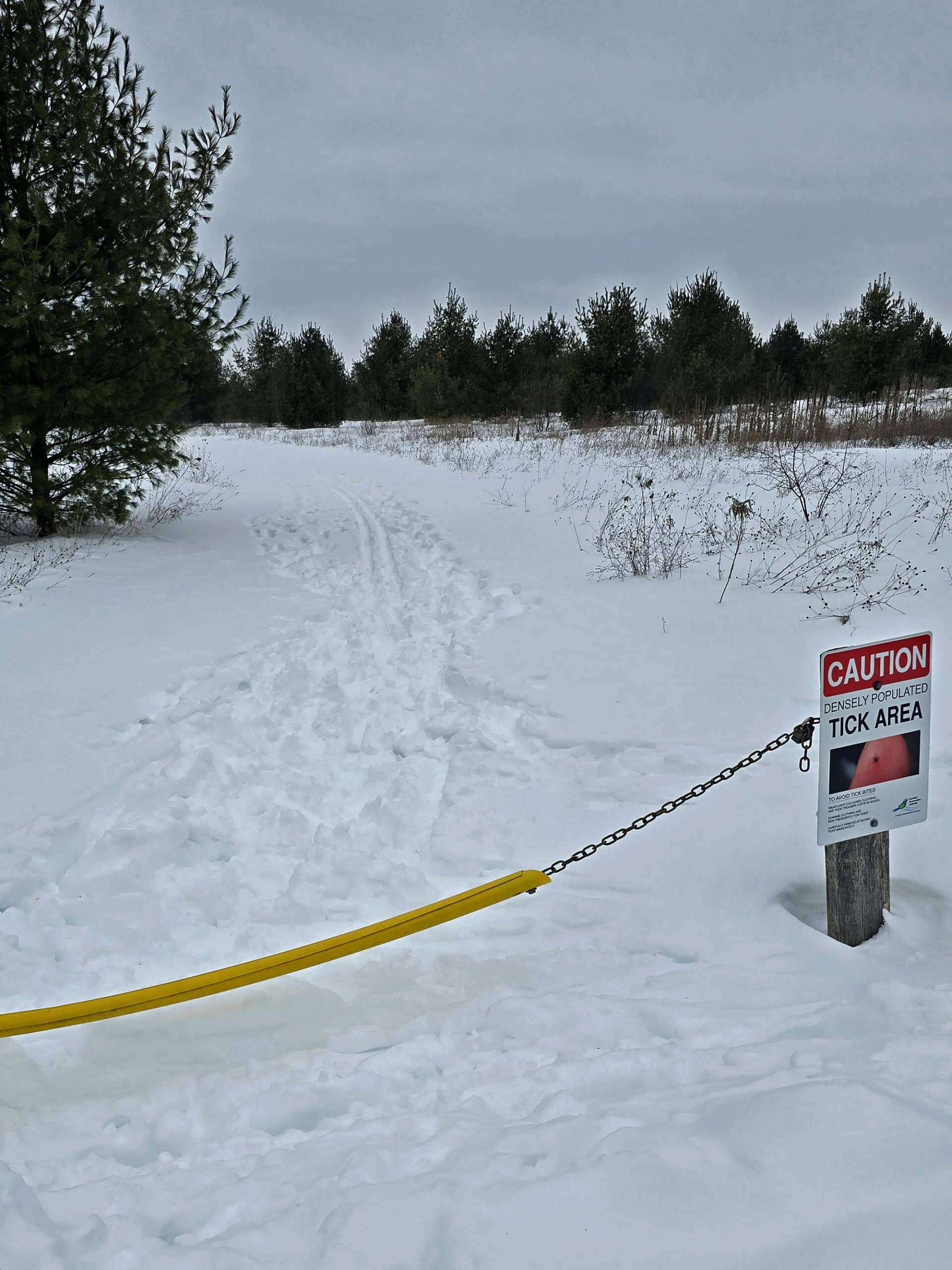 A new ski trail starting at a road blockade and going back into the distance.