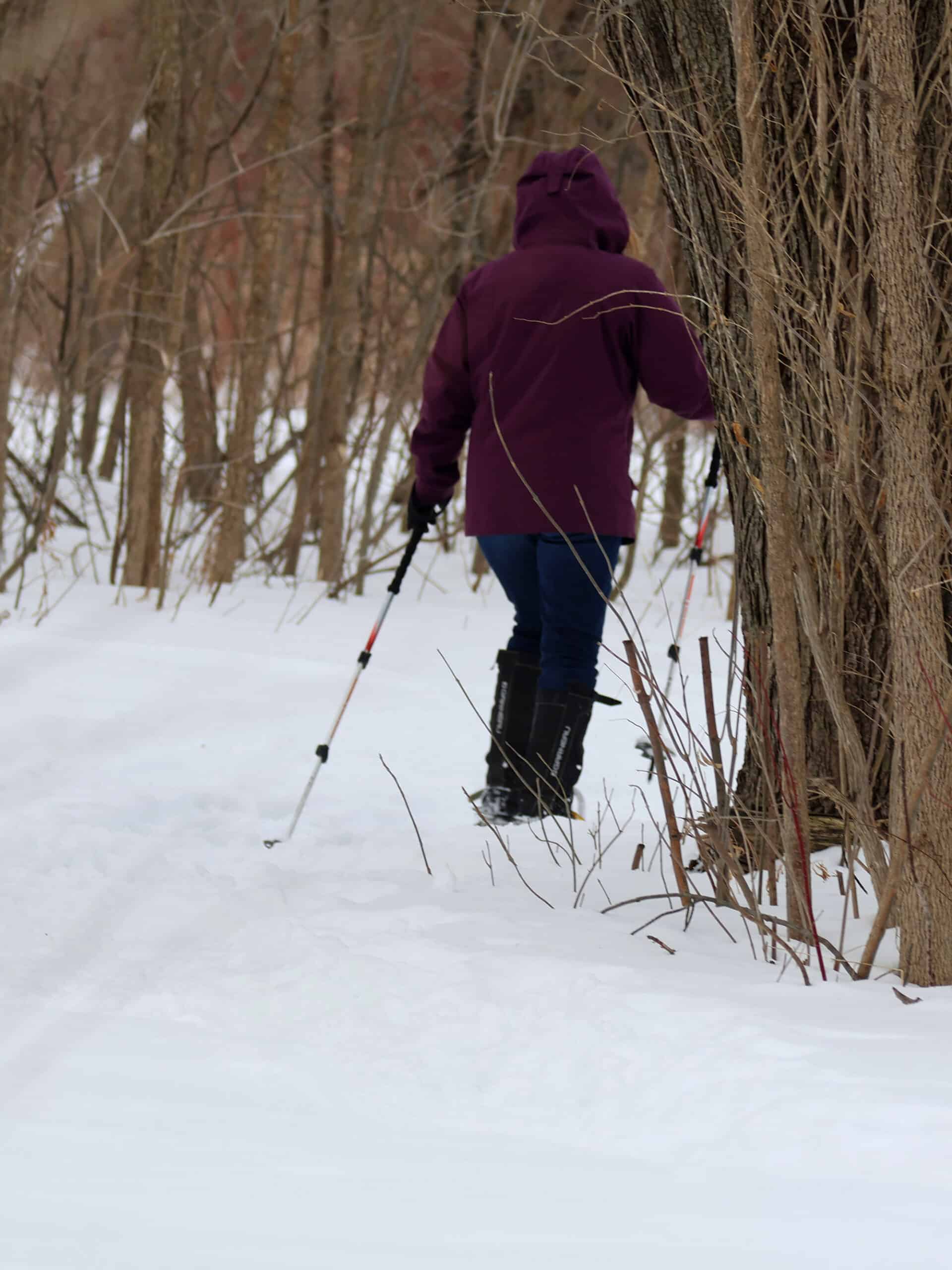 A woman snowshoeing into the woods.