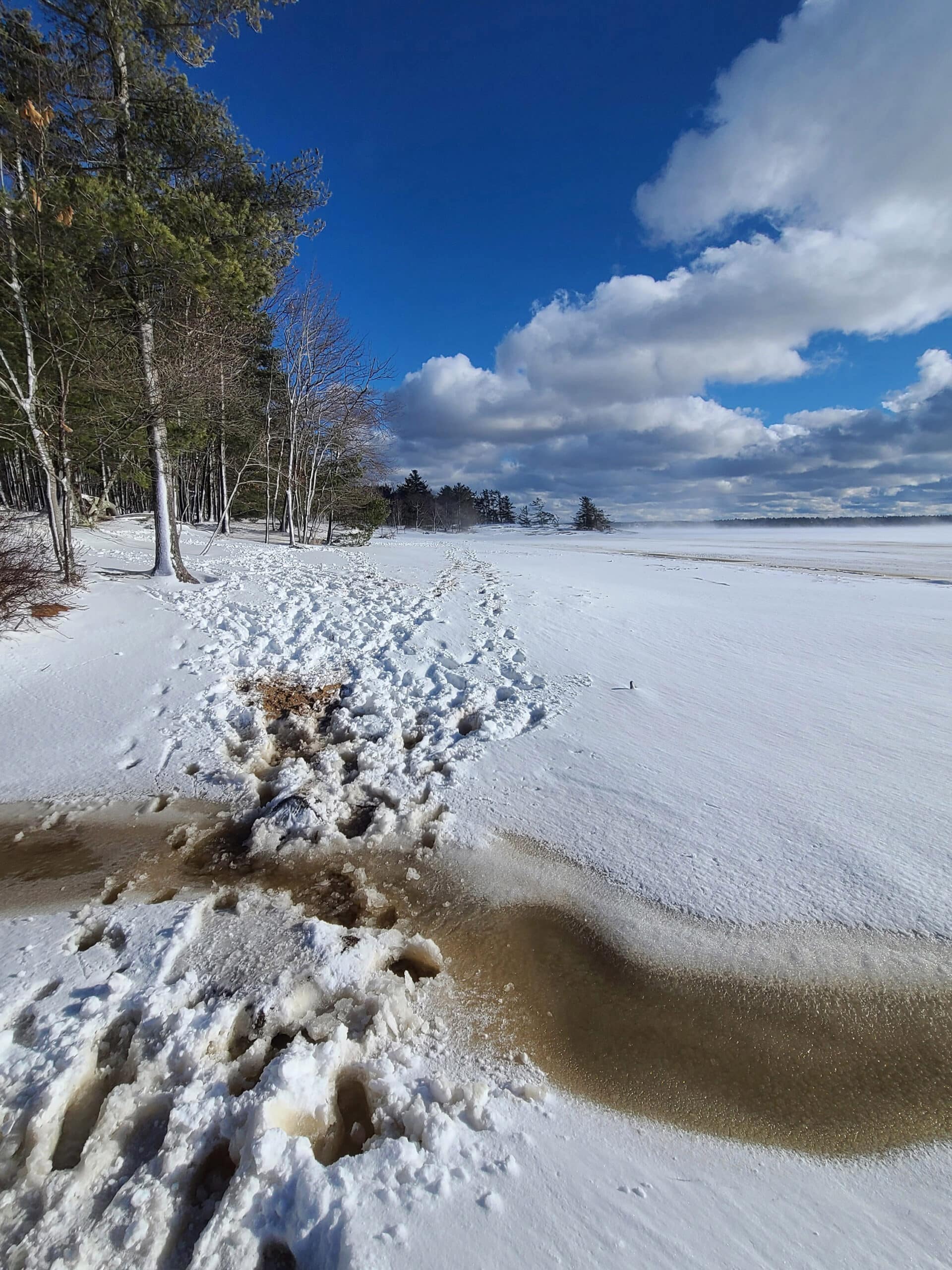 Footprints in the snow on Killbear Beach.