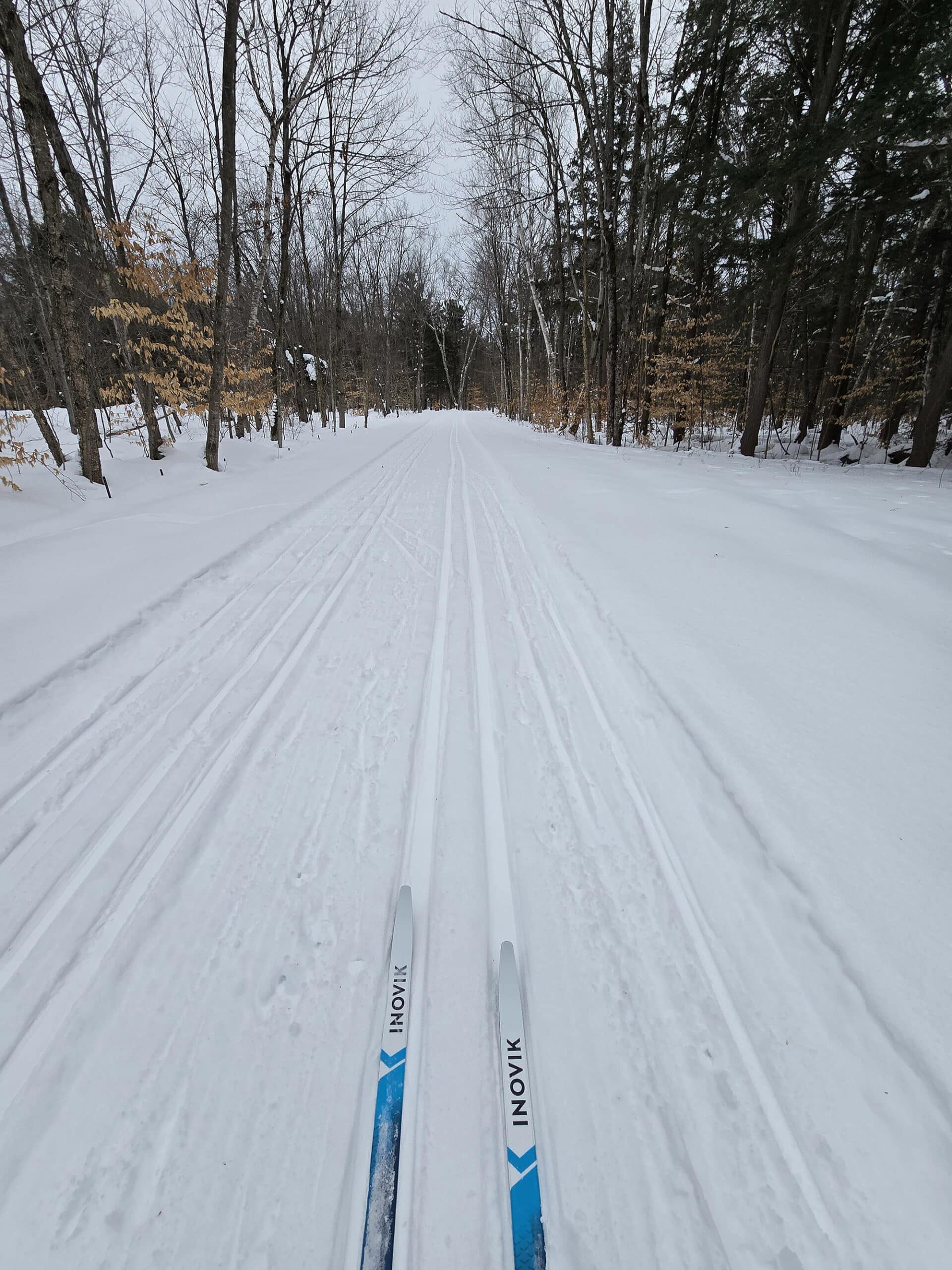 The view out over a pair of skis on a killbear ski trail.