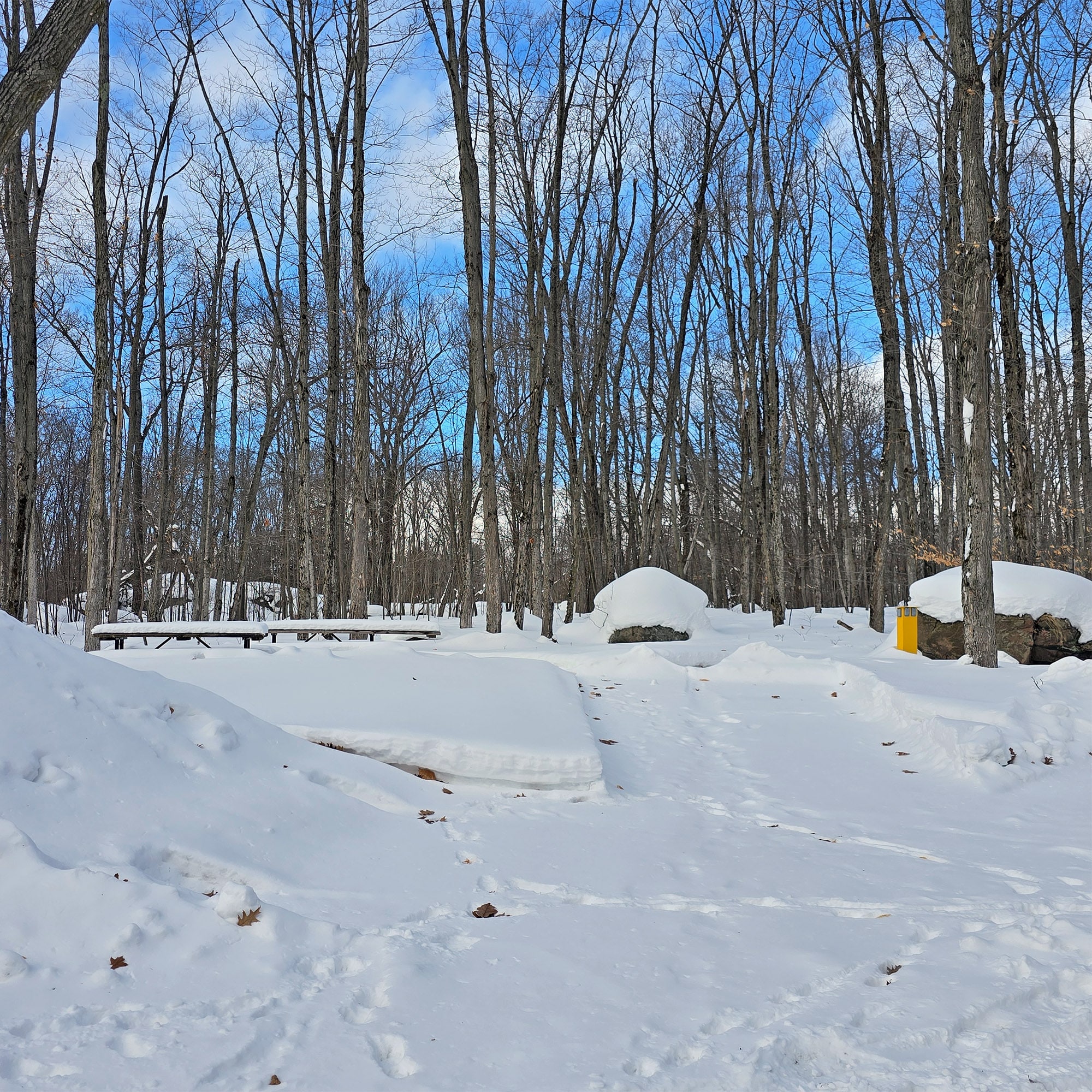 A poorly snow plowed campsite.