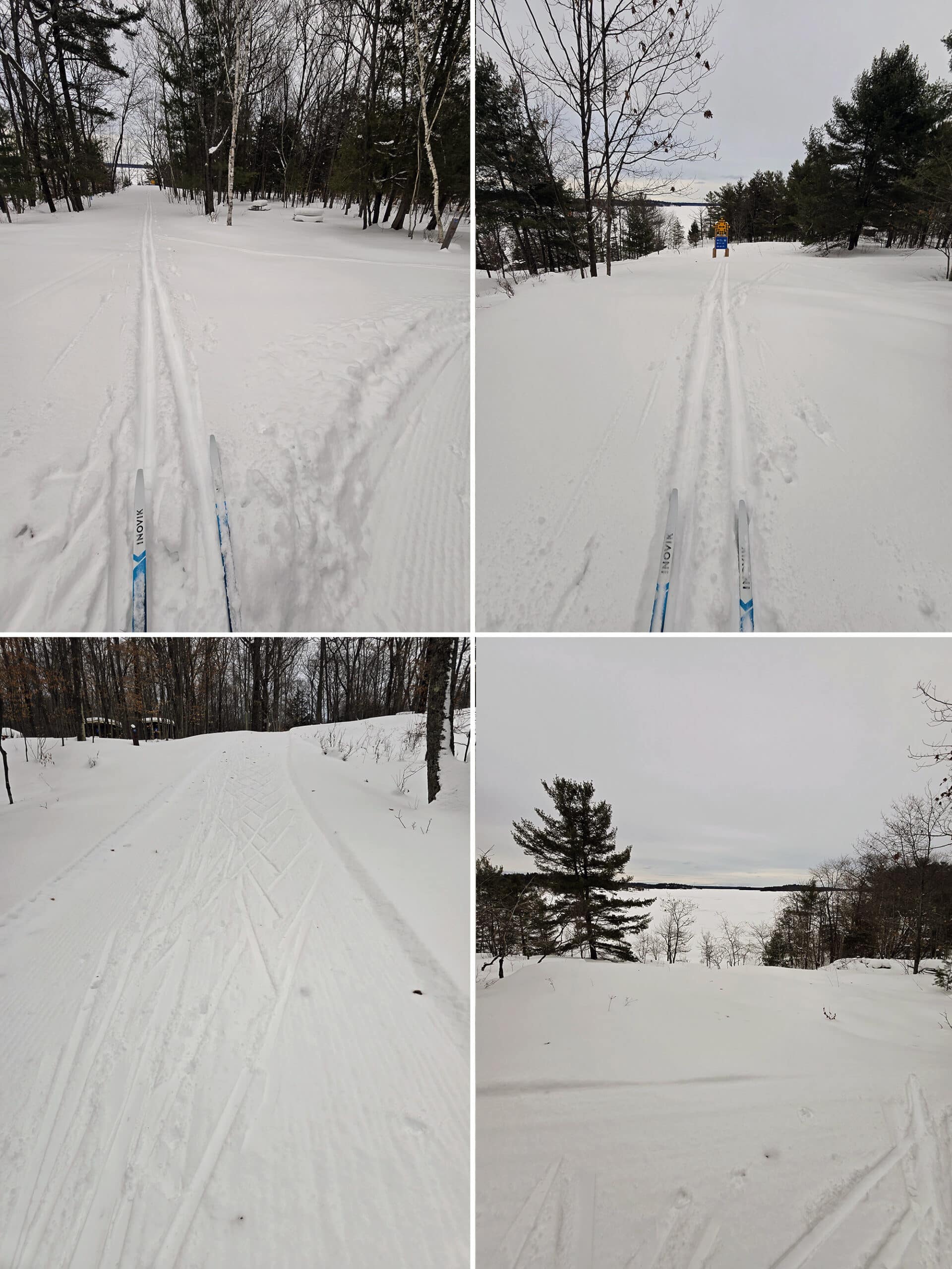 4 part image showing various views along the blind bay ski trail at Killbear Provincial park in the winter.