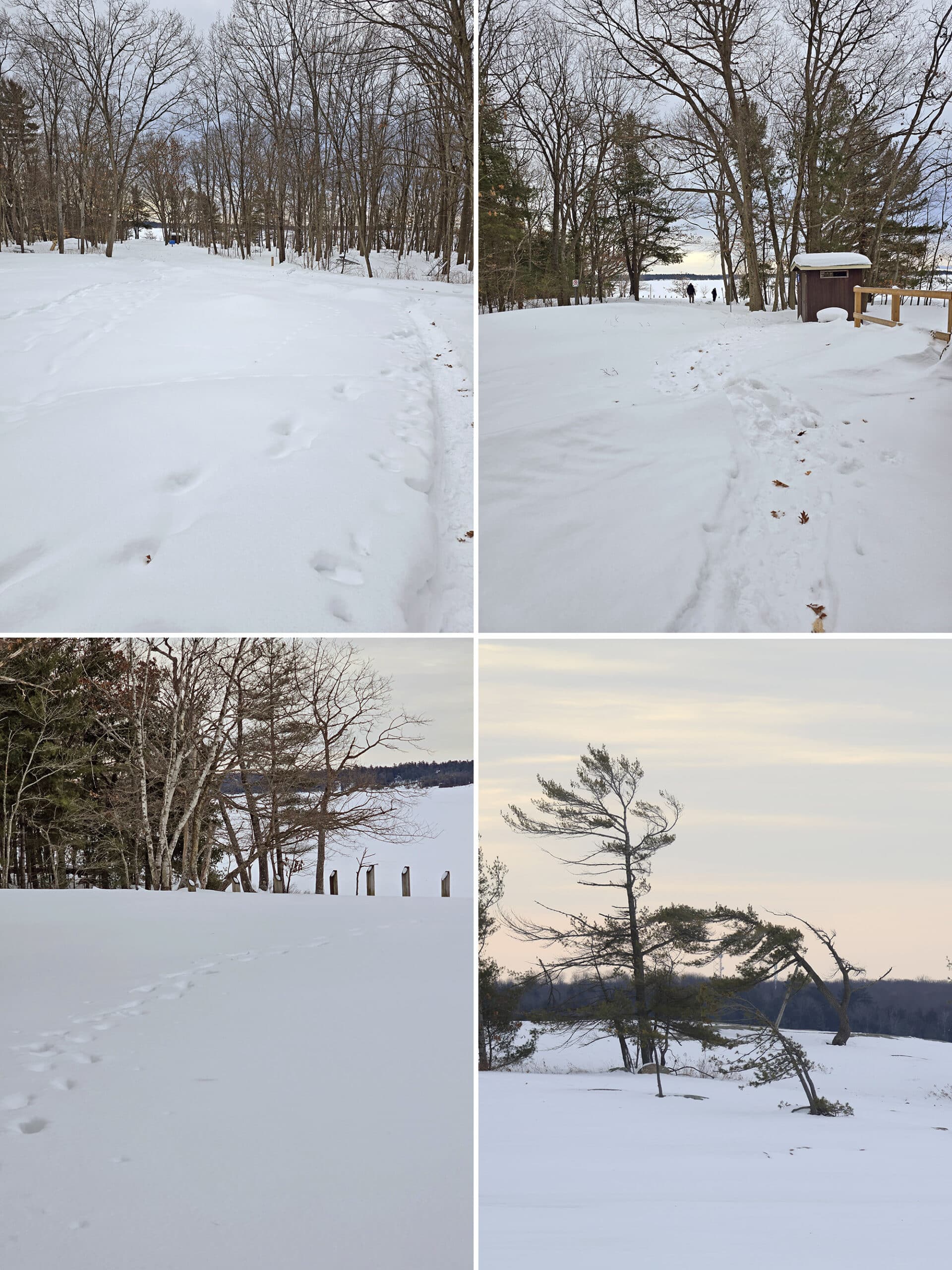 4 part image showing various views along the comfort station walking trail at Killbear Provincial park in the winter.