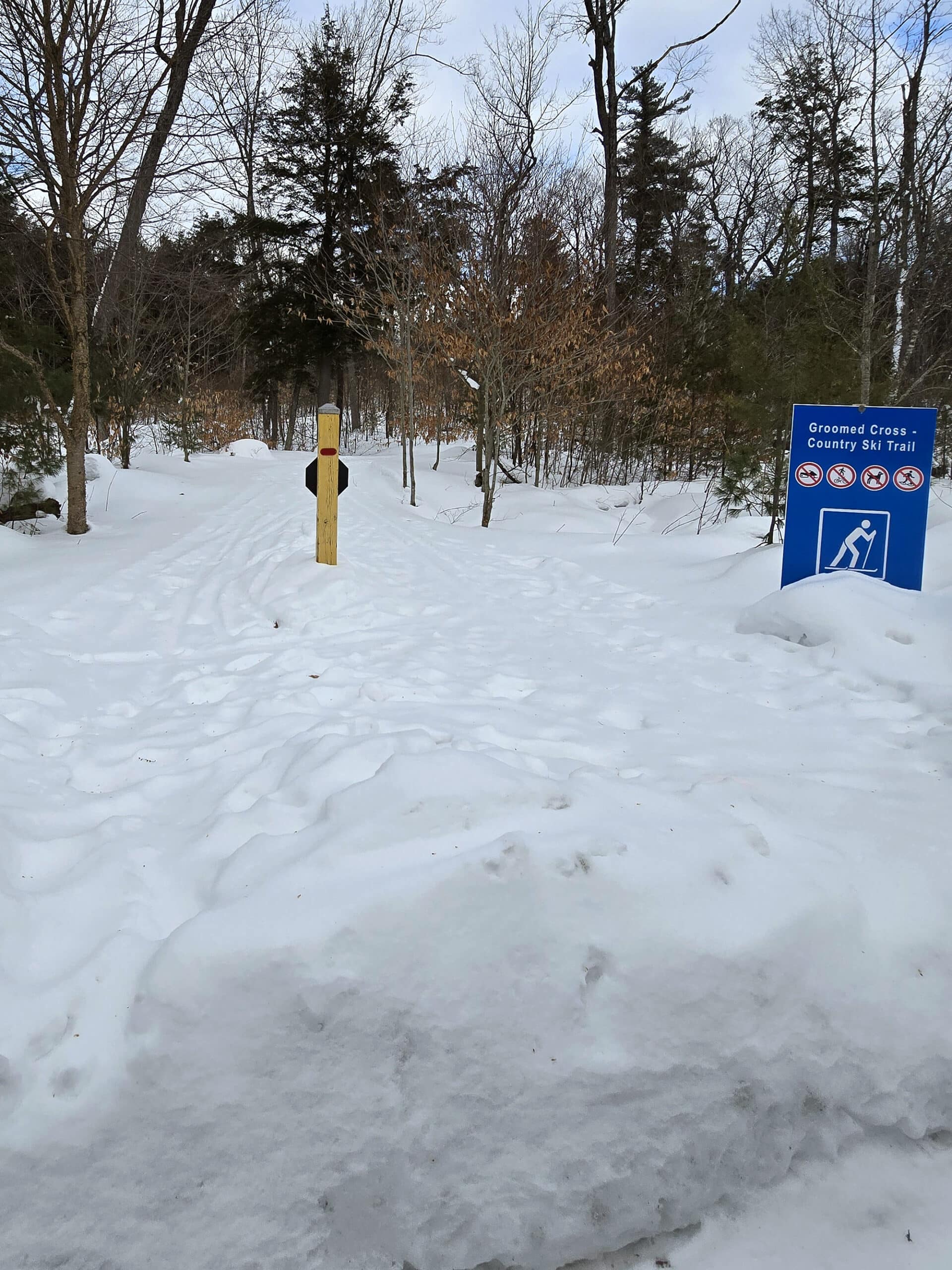 A ski trail that is marked as groomed but clearly is not.