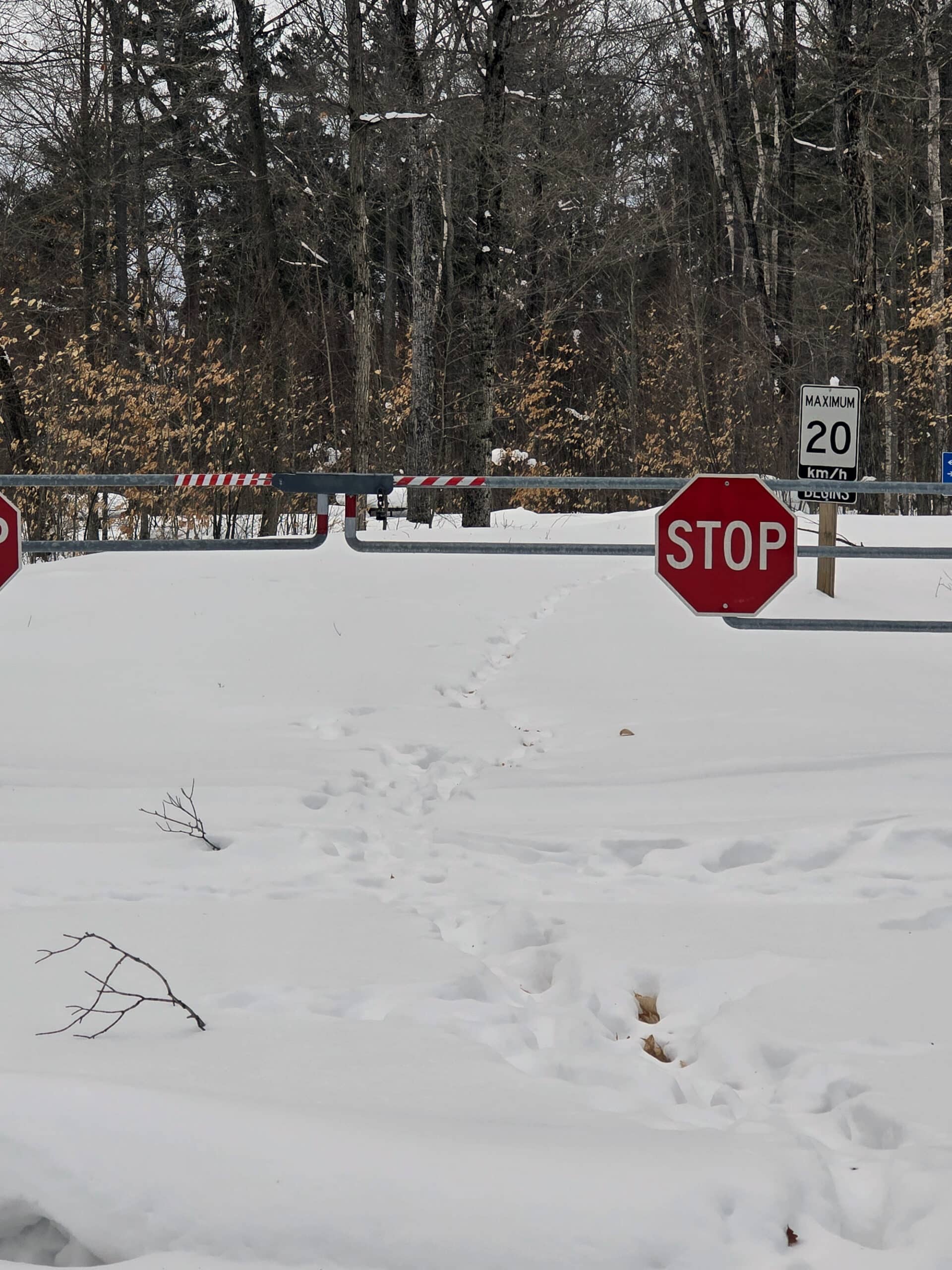 A gated road in the winter.