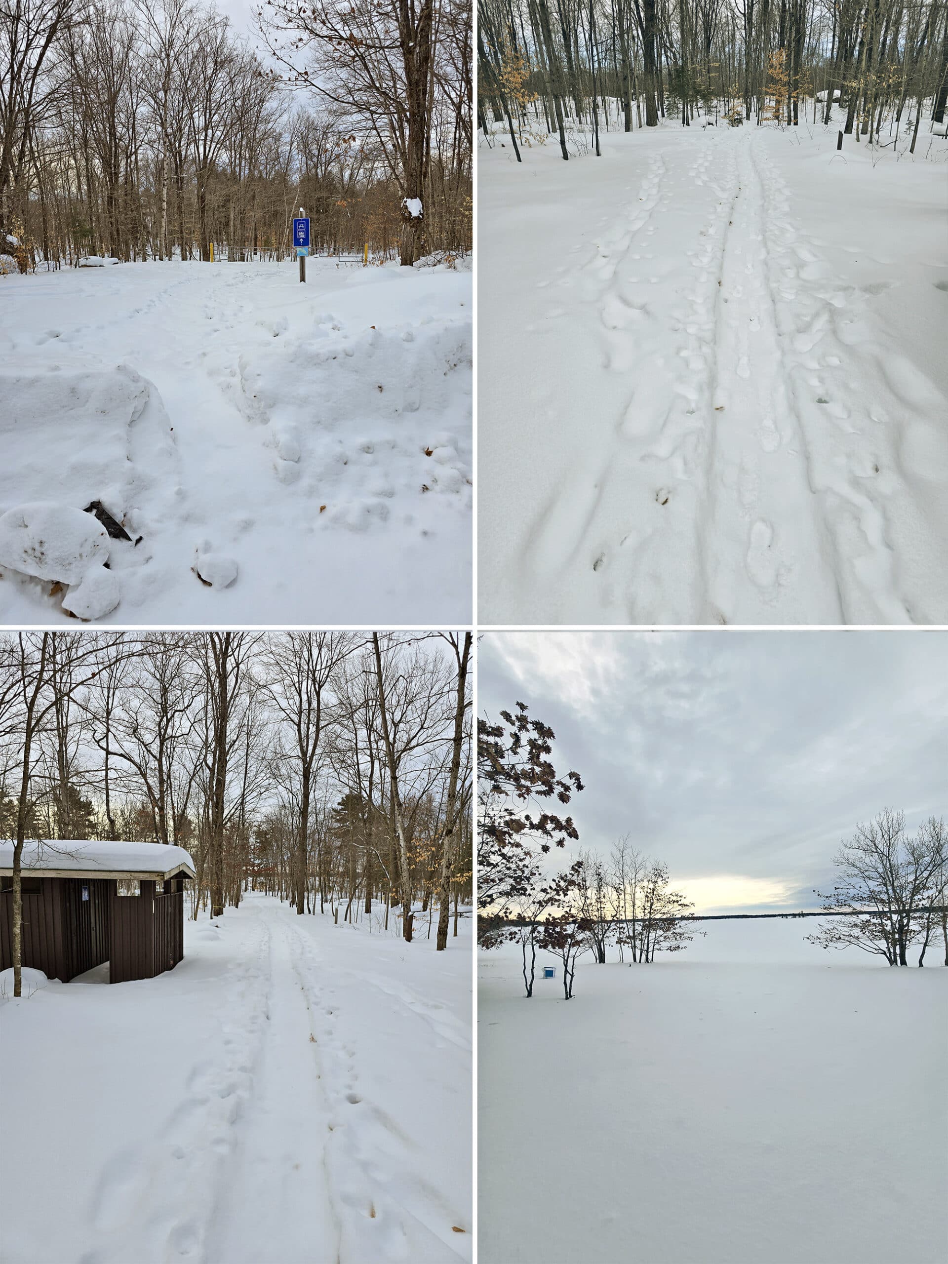 4 part image showing various views along the kilcoursie bay walking trail at Killbear Provincial park in the winter.