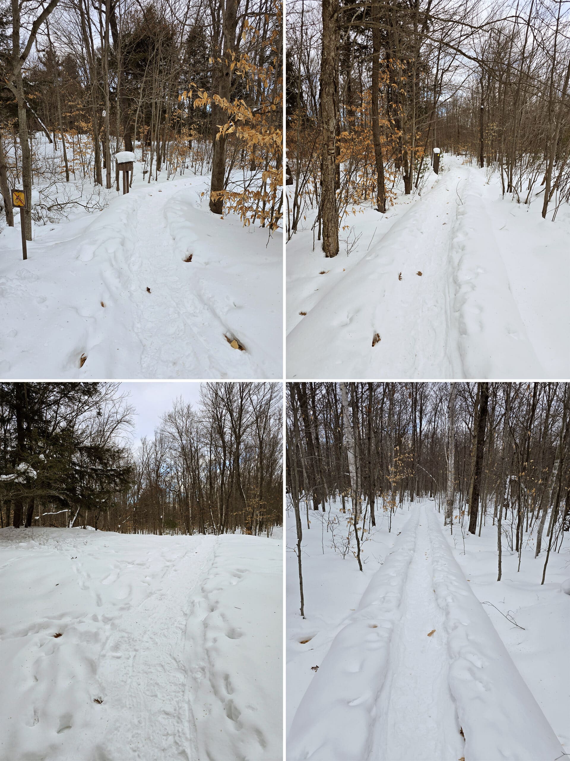 4 part image showing various views along the lookout point trail at Killbear Provincial park in the winter.