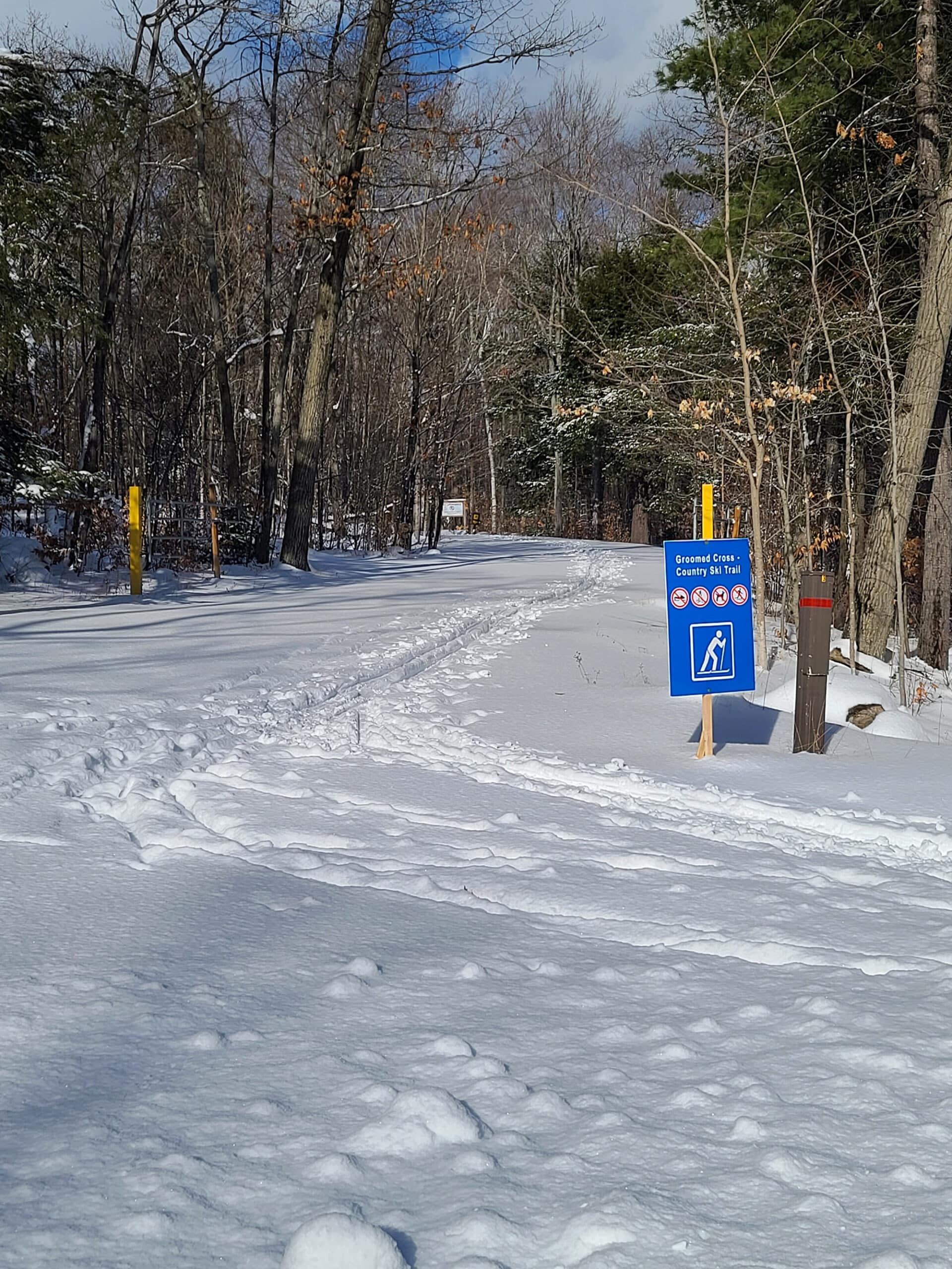 A groomed ski trail at killbear provincial park.