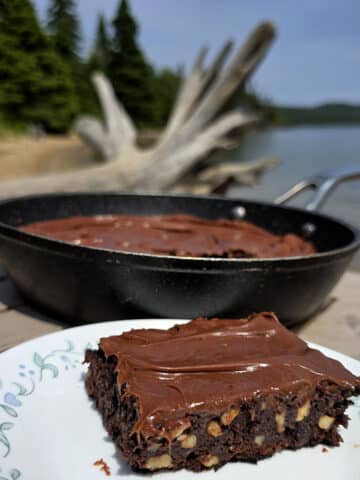A pan of skillet brownies on a picnic table, with a single brownie on a plate in front of it.