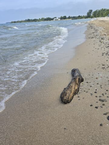 A sandy beach at North Beach Provincial Park.