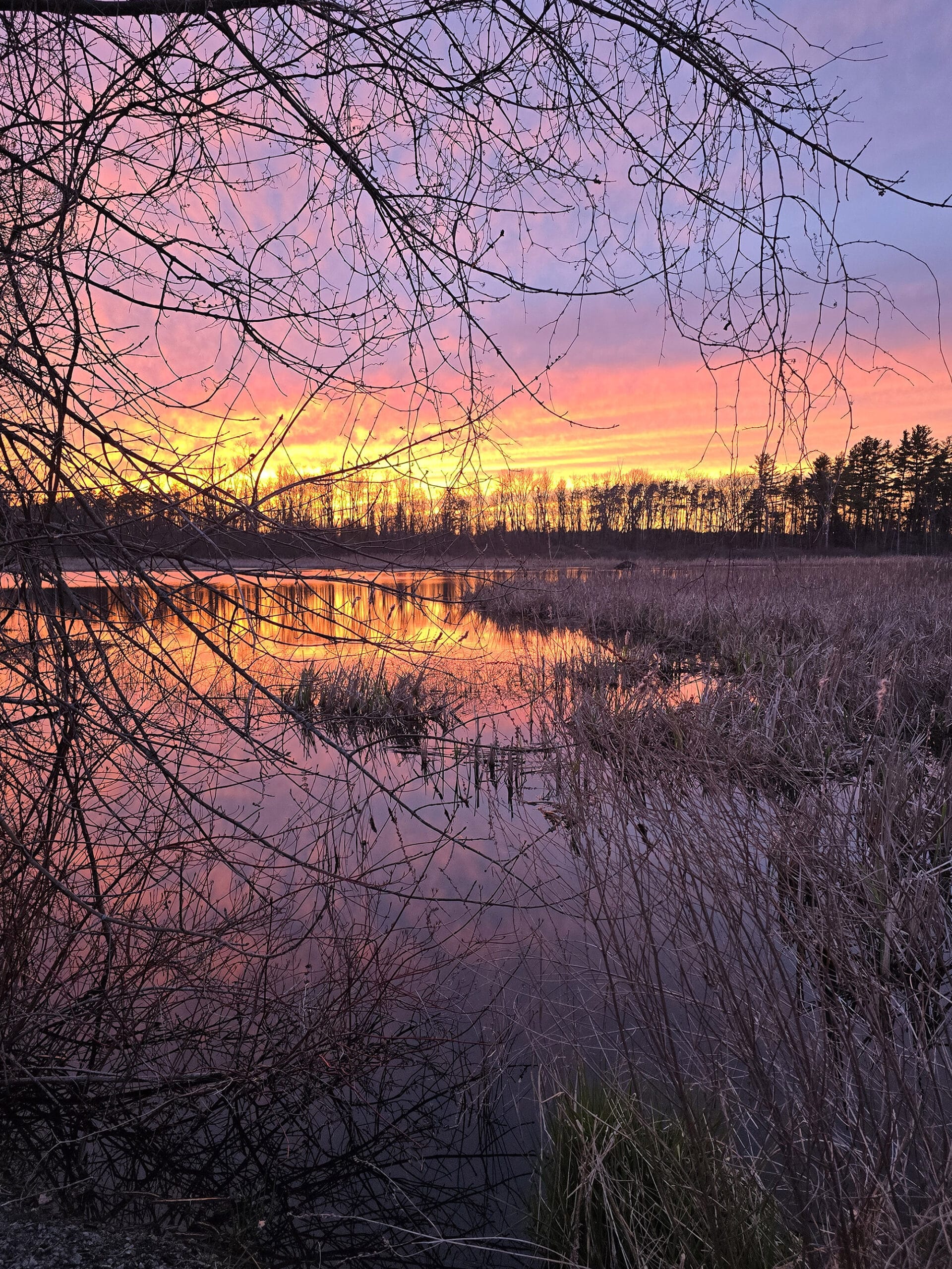 A bright pink and orange sunset over a marsh at Presqu’ile Provincial Park.