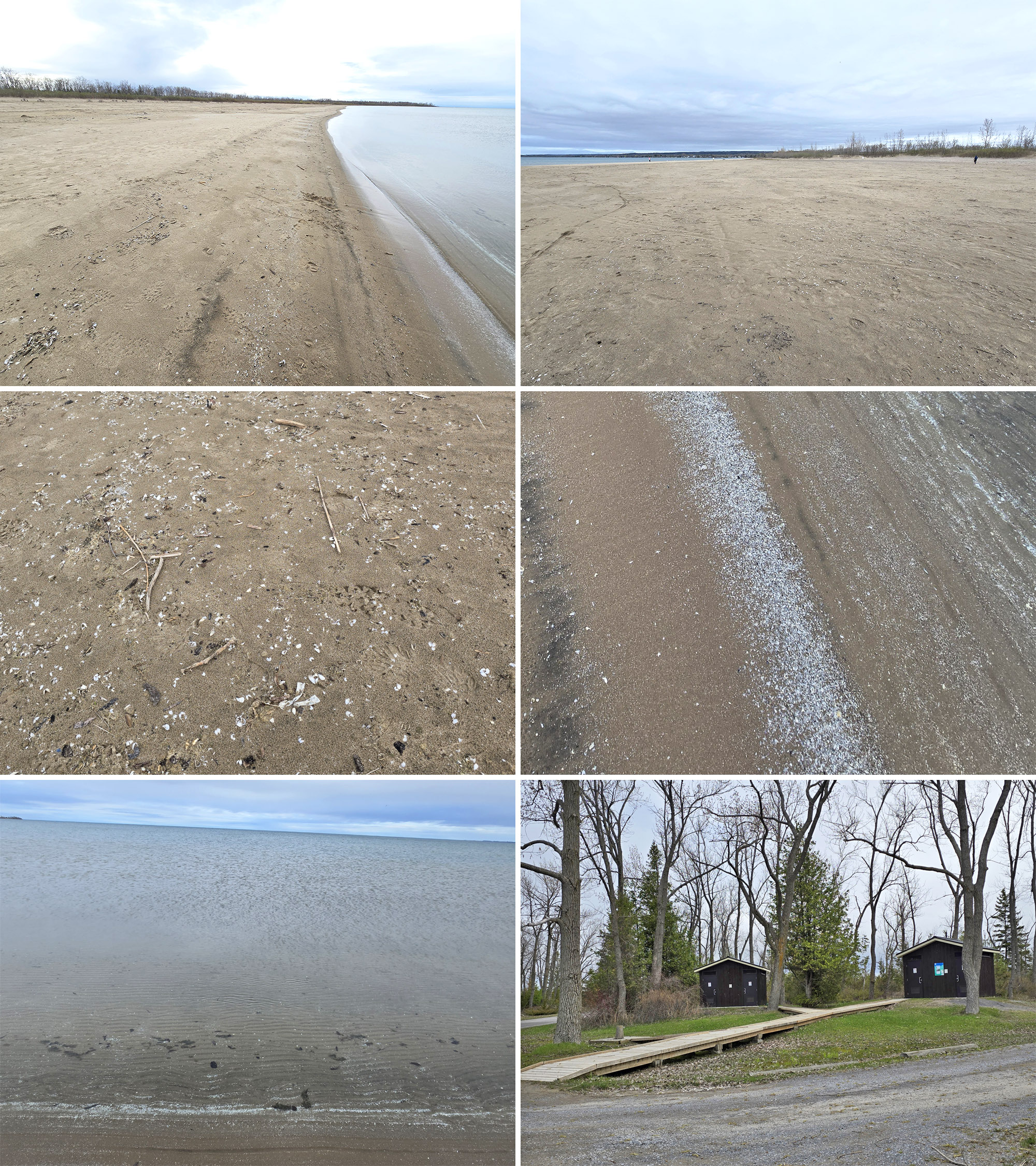 6 part image showing various views of Beach 1 at Presqu’ile Provincial Park, including the washroom building.