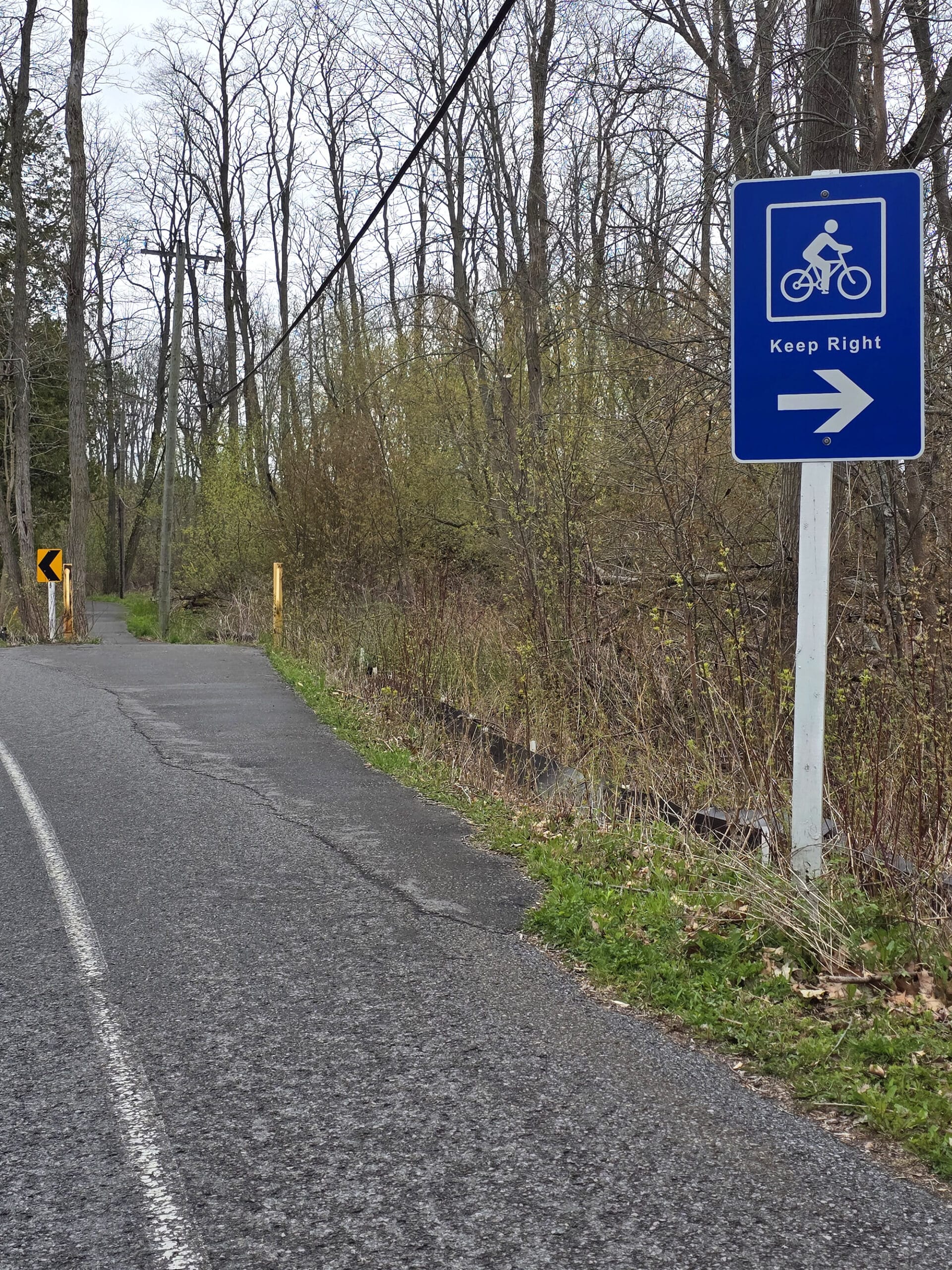 A paved sidewalk splitting off from the road, with a sign instructing cyclists to go that way.
