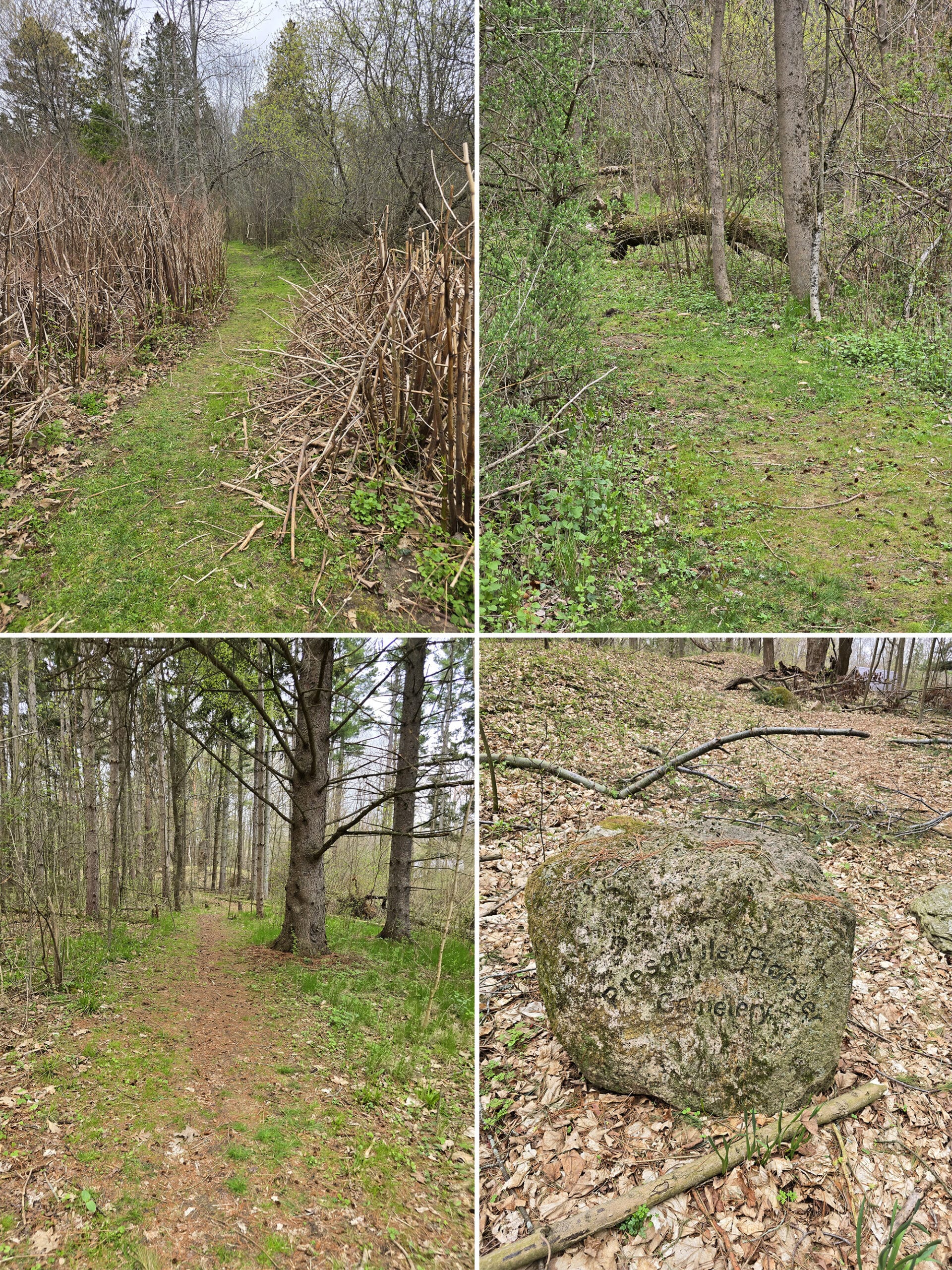 4 part image showing various views along the cemetery trail at Presqu’ile Provincial Park.