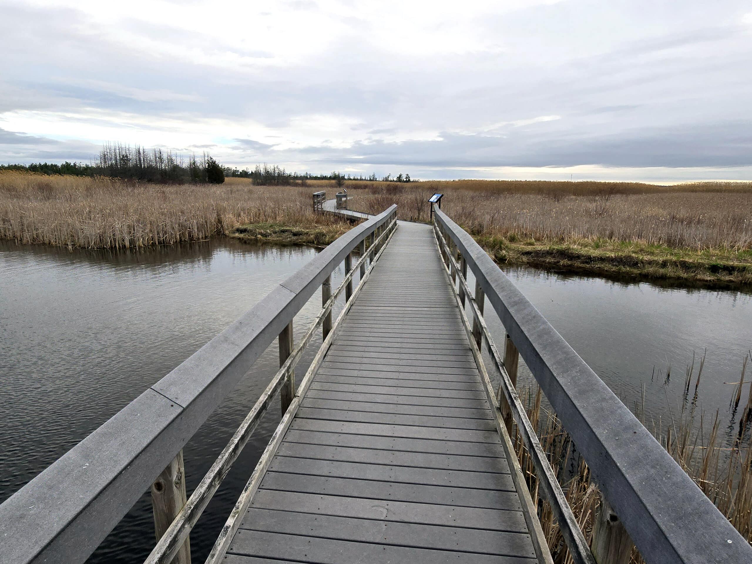 A boardwalk extending over marsh at Presqu’ile Provincial Park.