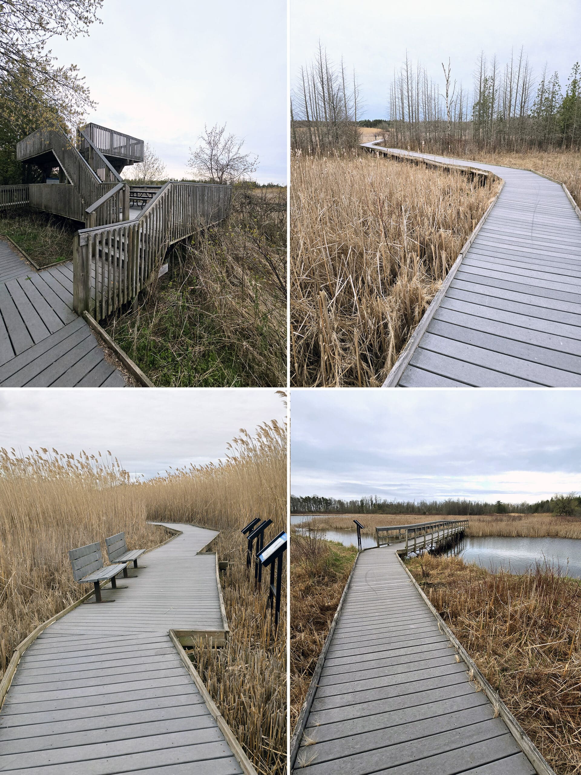 4 part image showing various views along the Marsh Trail at Presqu’ile Provincial Park.