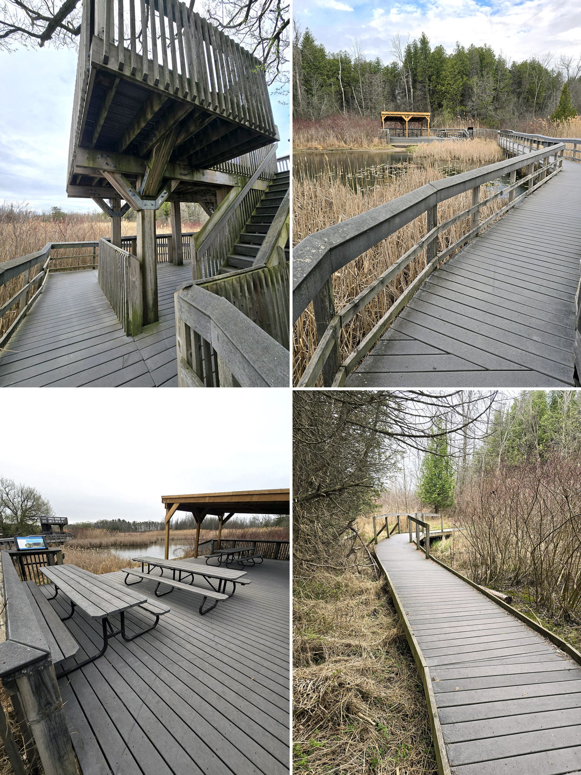 4 part image showing various views along the Marsh Trail at Presqu’ile Provincial Park.