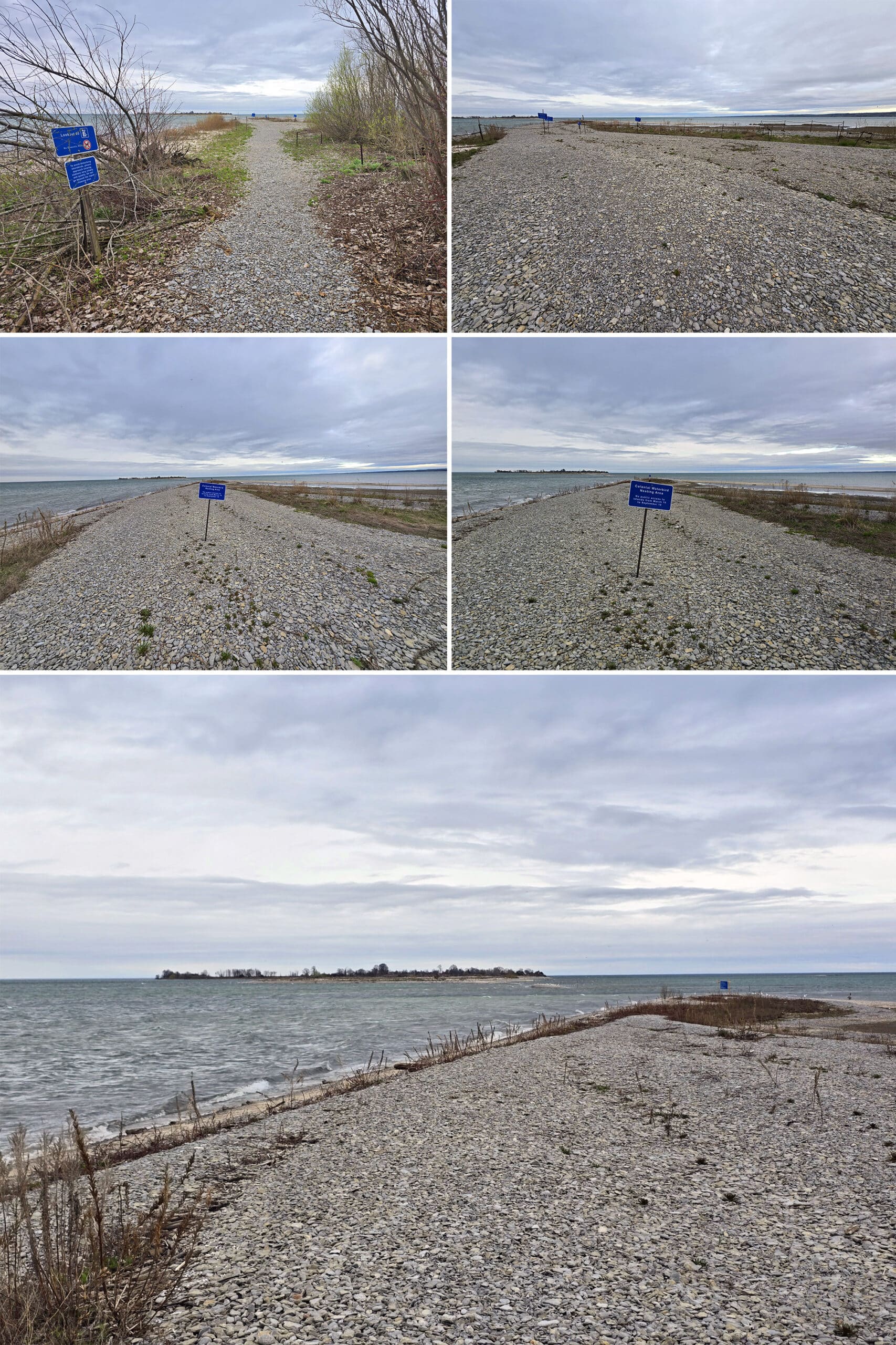 5 part image showing various views of owen point, a rocky shoreline at Presqu’ile Provincial Park.