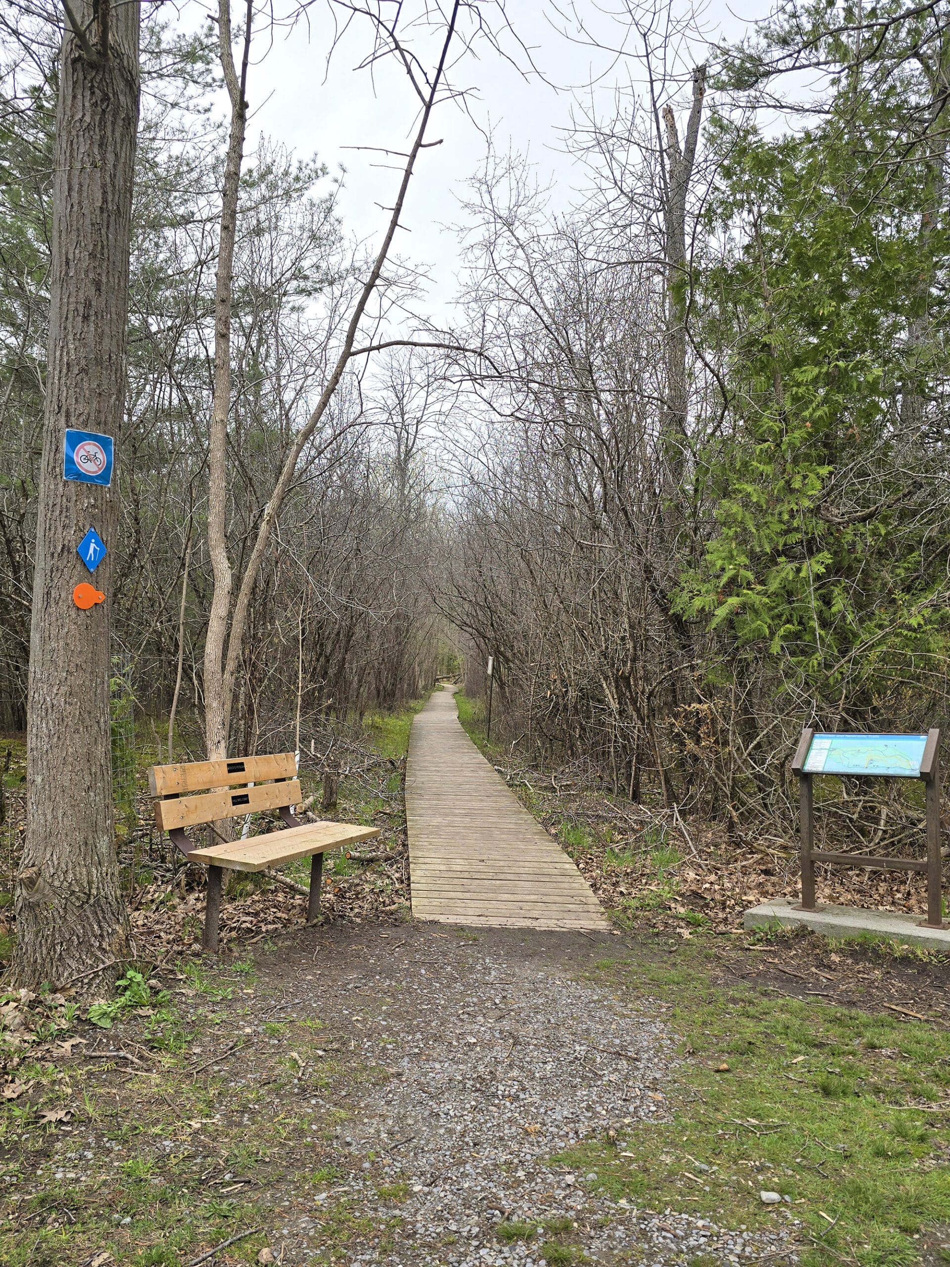 A trail extending through the woods, with a seating bench at the start.