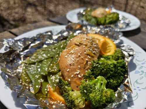 Campfire Ginger-Orange Chicken Foil Packets Recipe - 2 Nerds In A