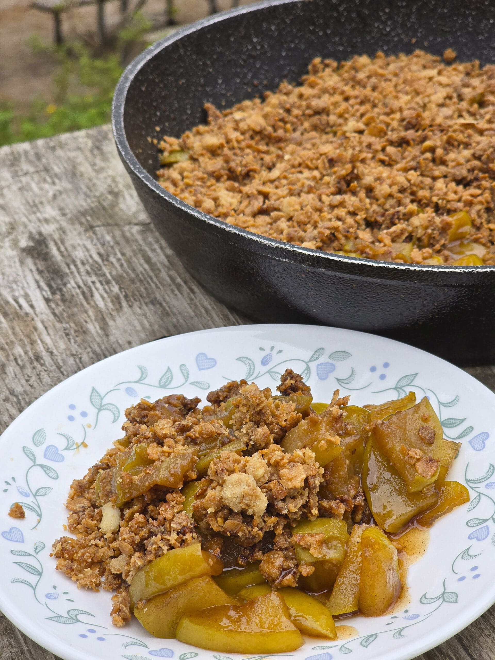 A pan and plate of skillet apple crisp on a picnic table.