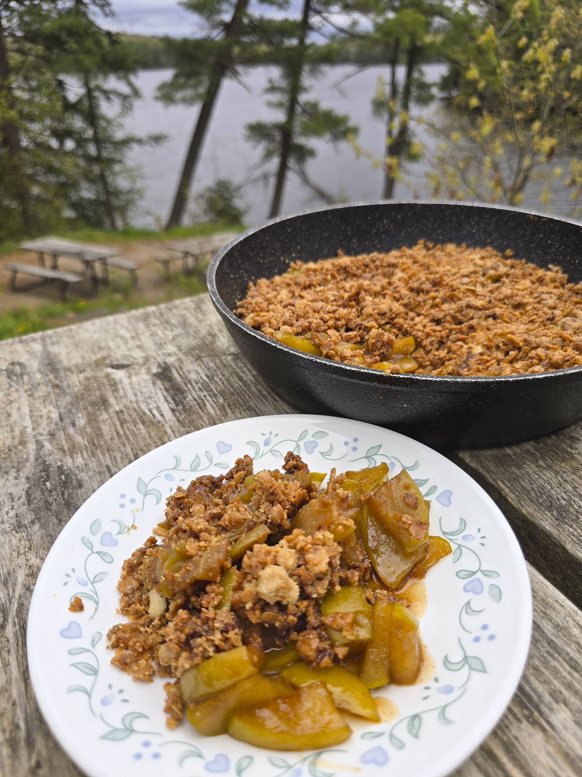 A pan and plate of skillet apple crisp on a picnic table.